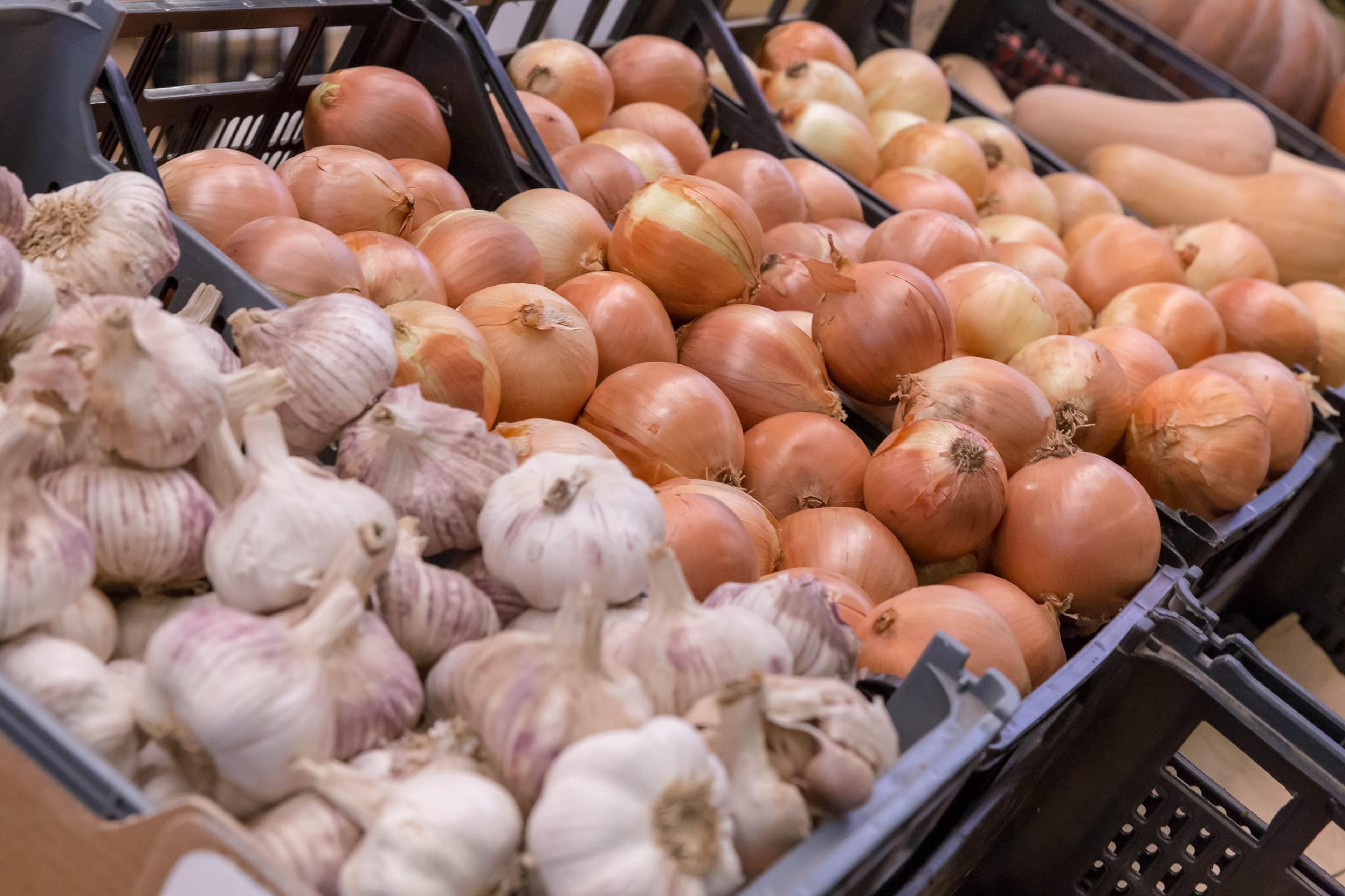 Image of raw garlic, onions and squash