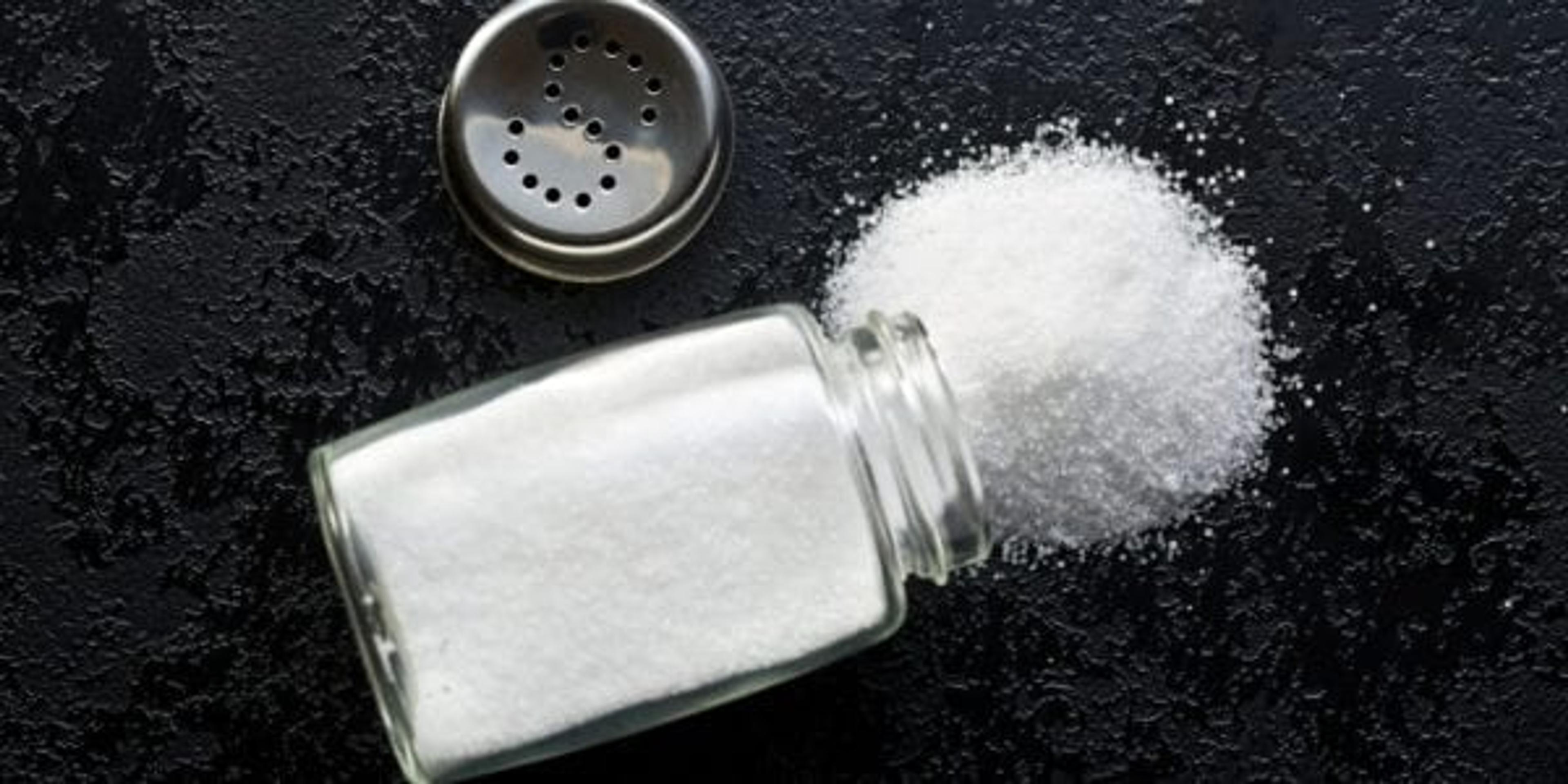 Salt Shaker Laying on table