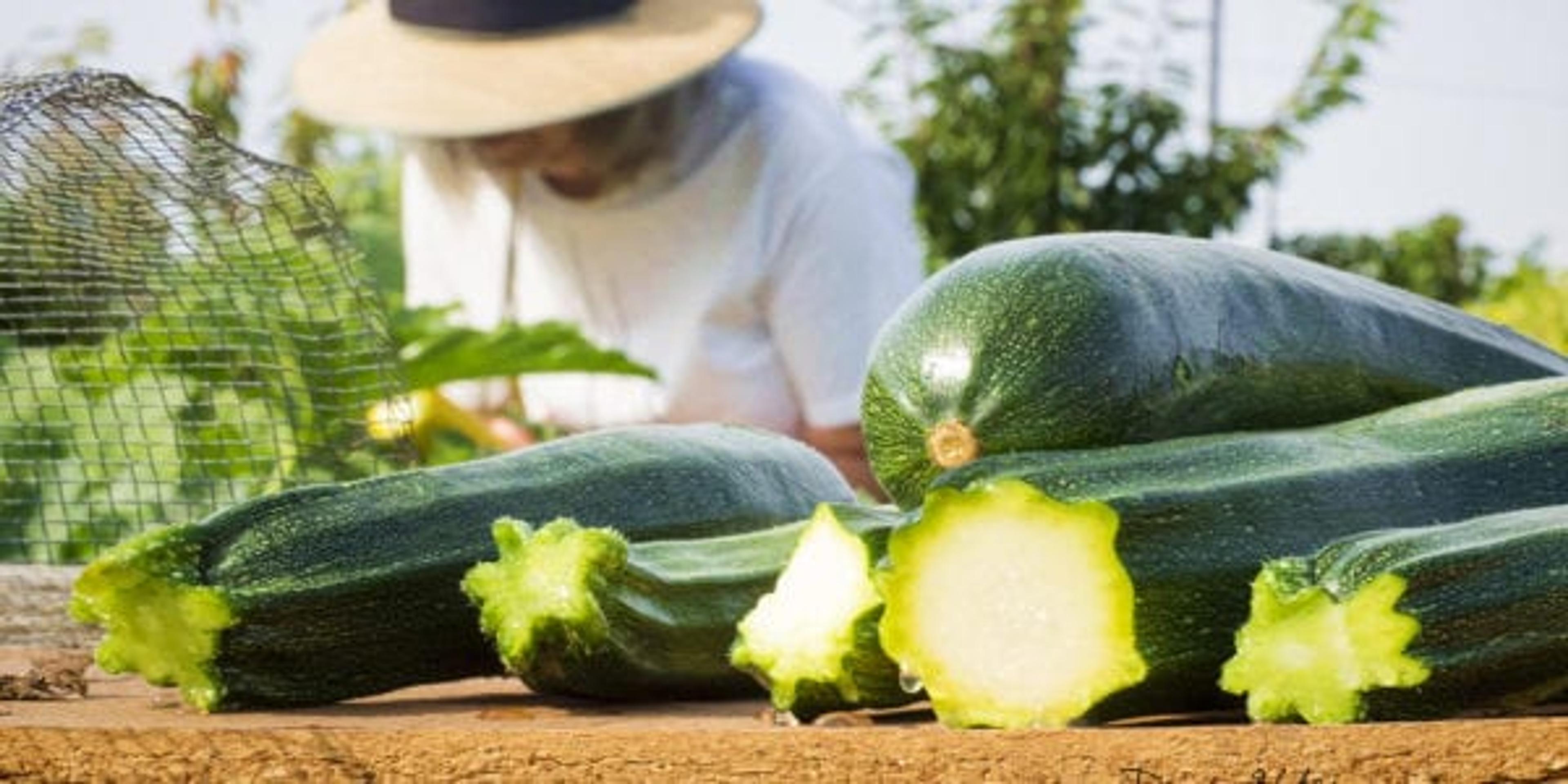 Anyone-can-start-a-community-garden