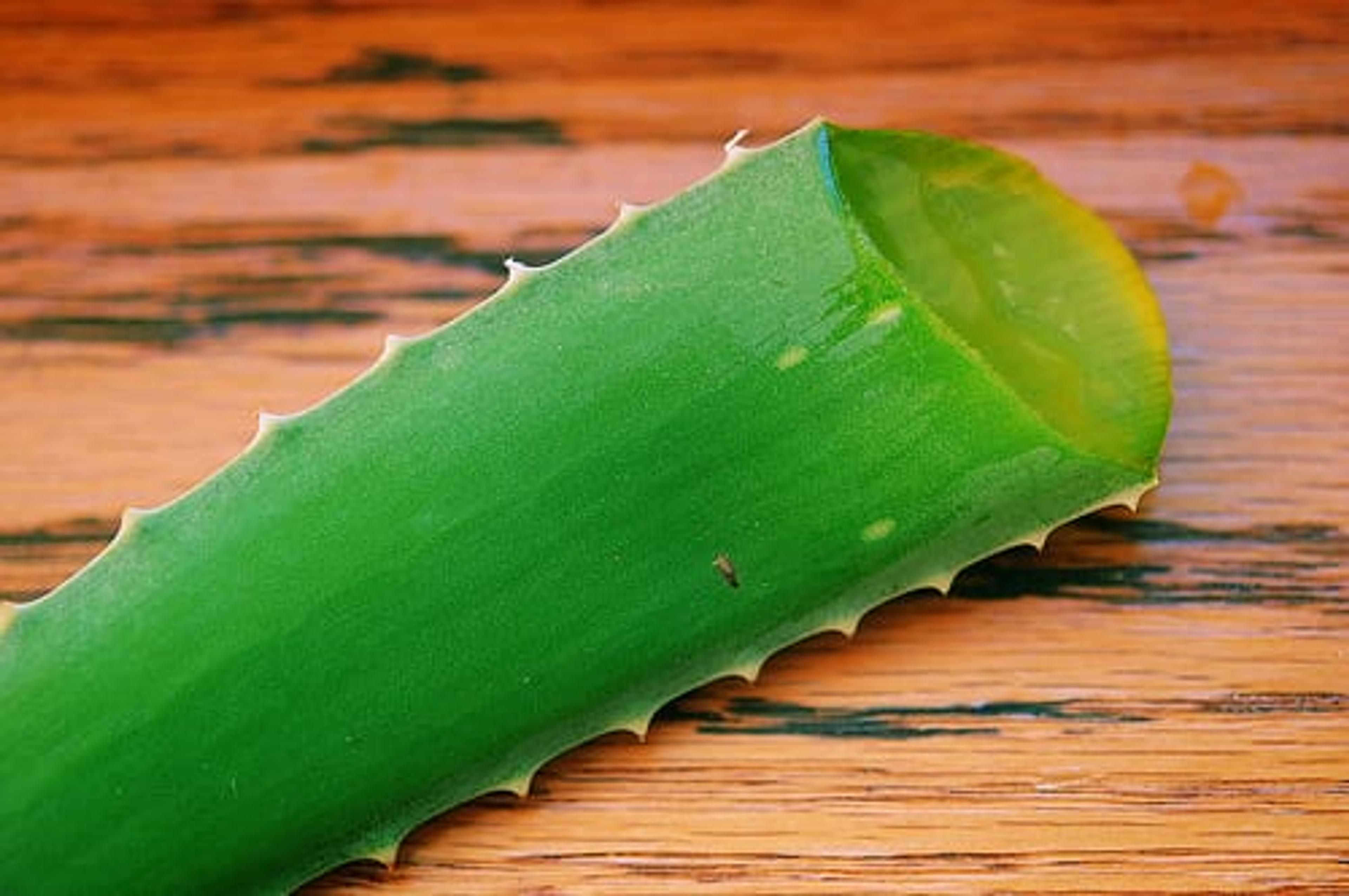 Aloe gel