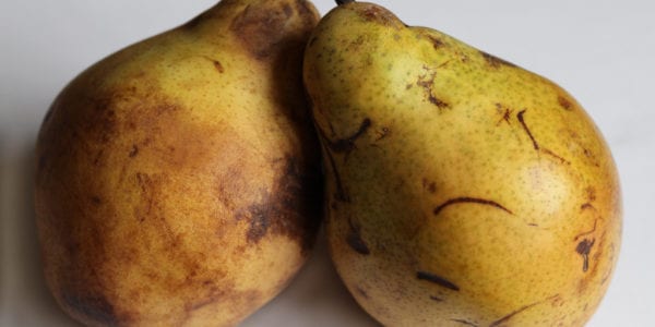 Why You Should Give “Ugly” Fruits And Vegetables A Chance