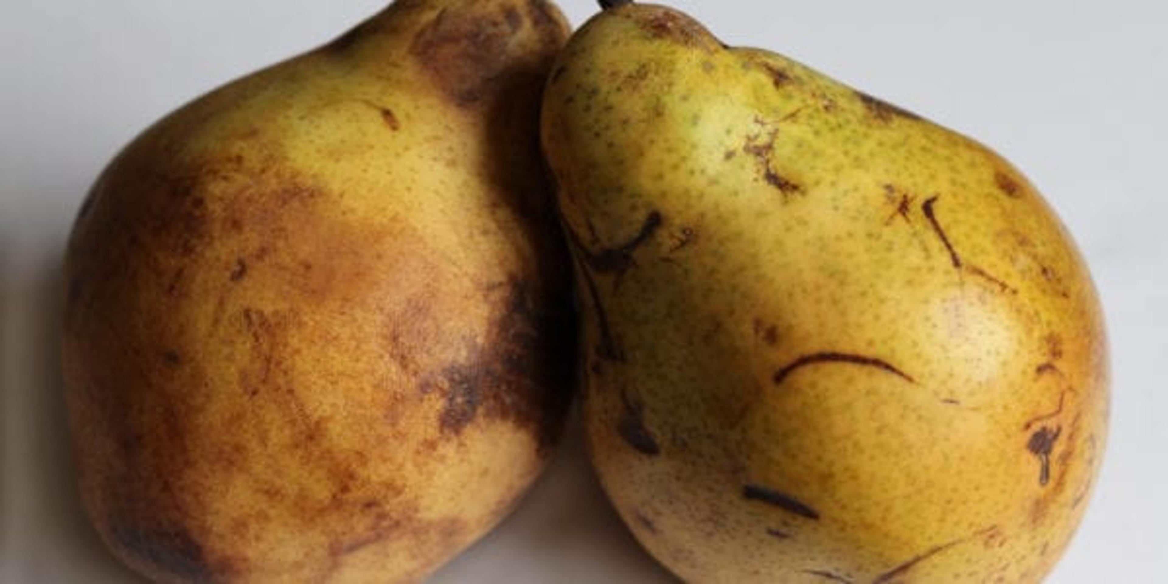 Give ugly fruits a chance