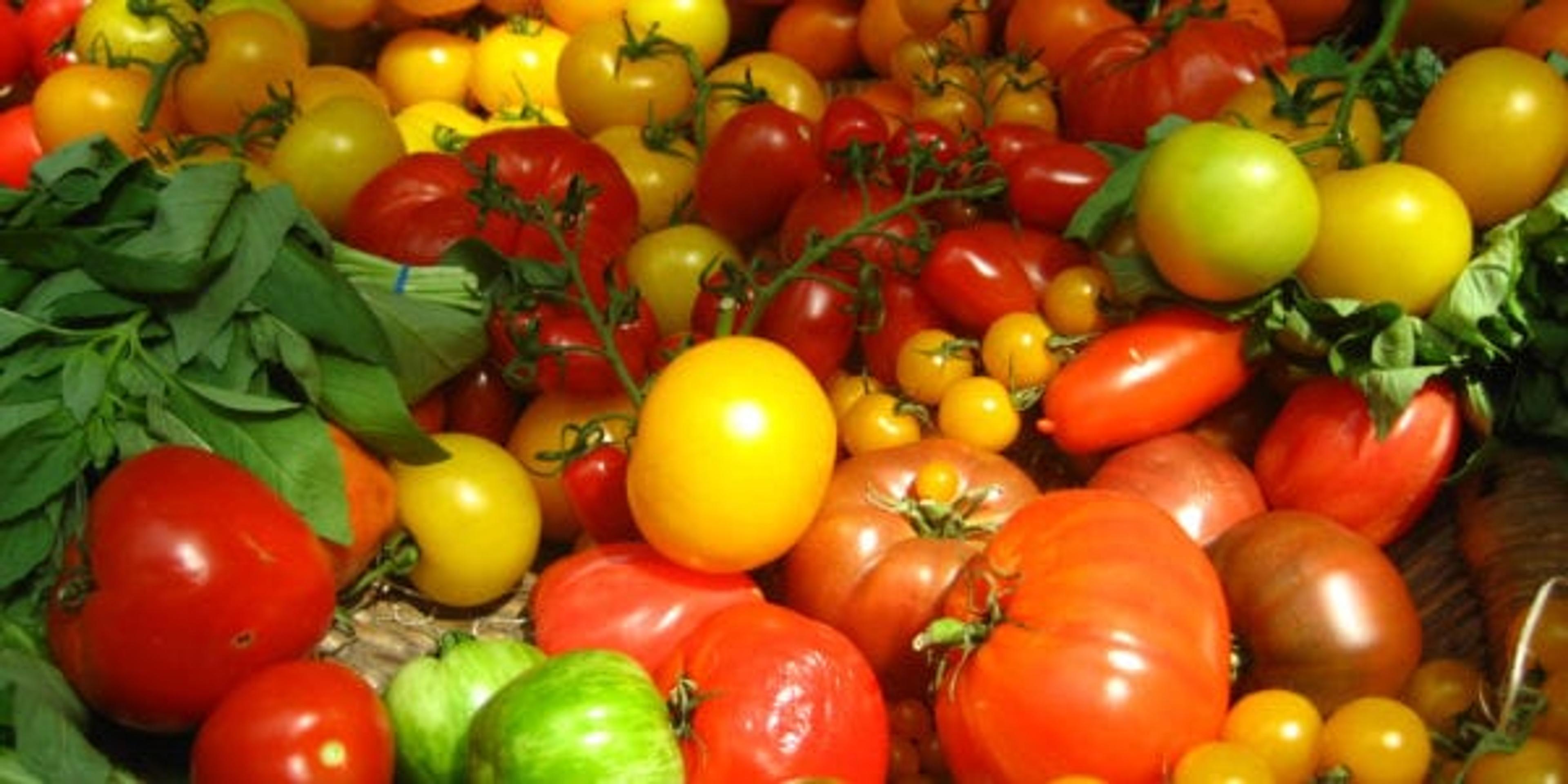 Michigan tomato varieties