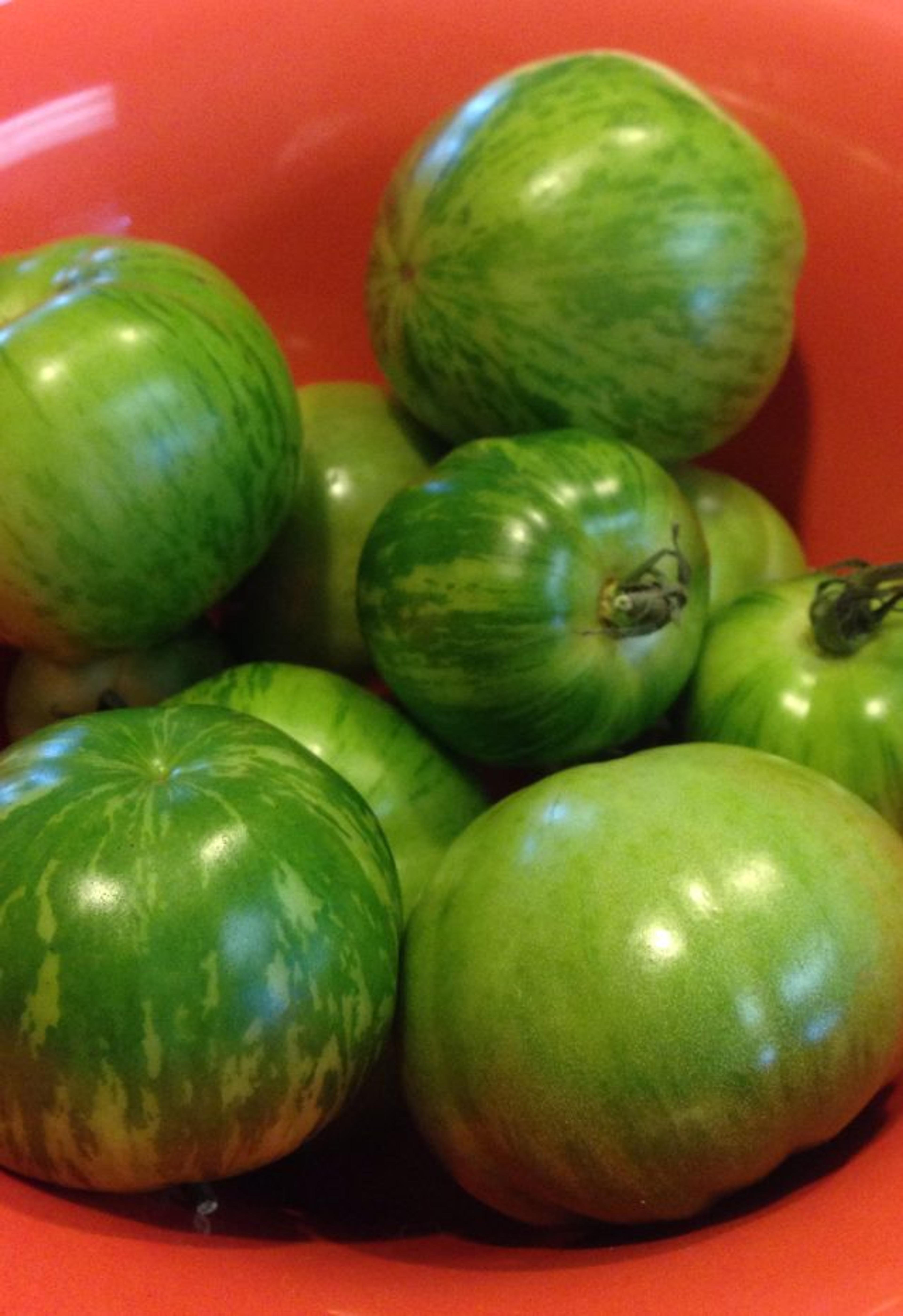 Green tomato spice cake