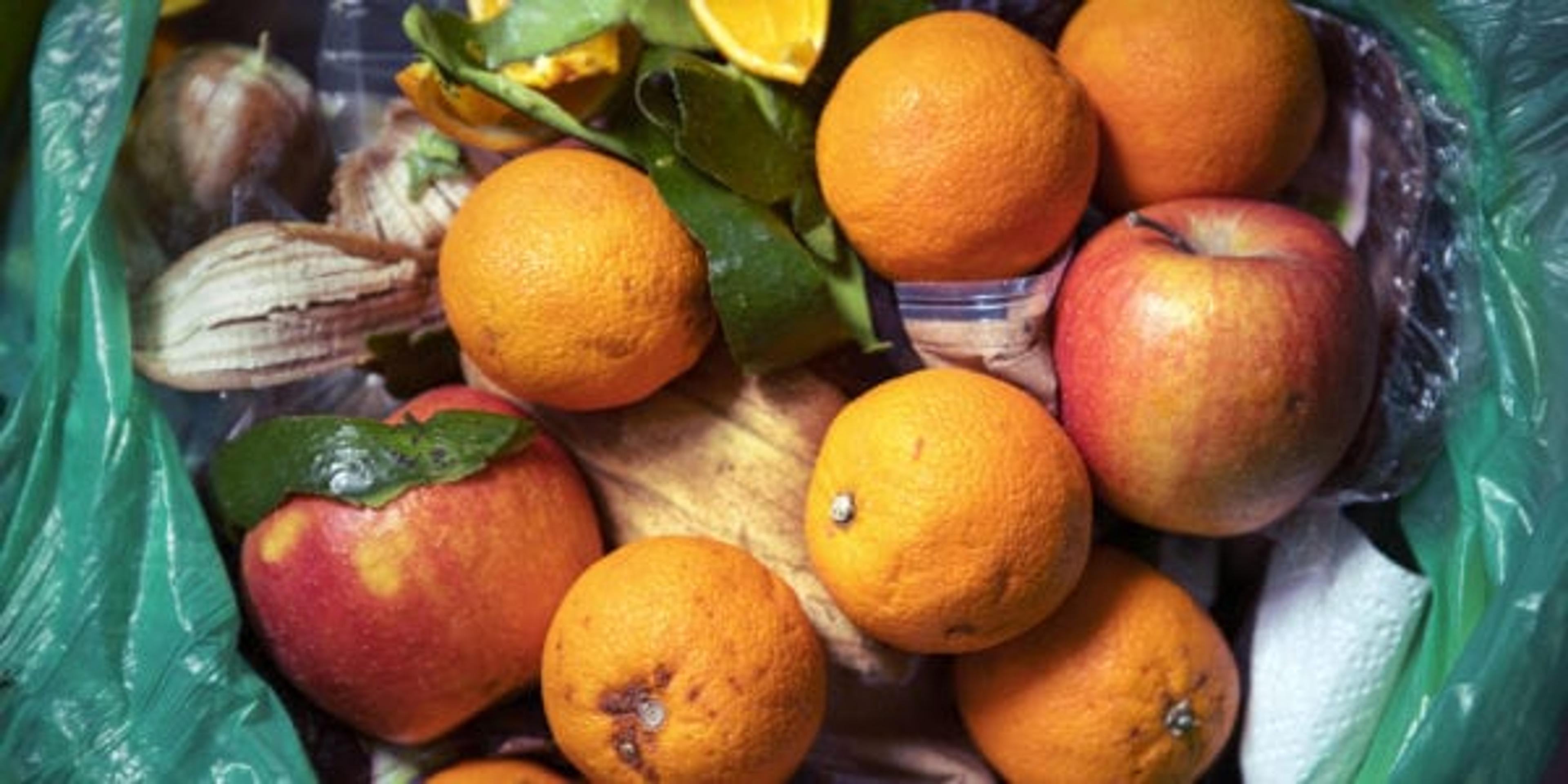 Remains of half rotten food and another rubbish in waste basket. Putrid fruit. Oranges and apples. Consumerism.