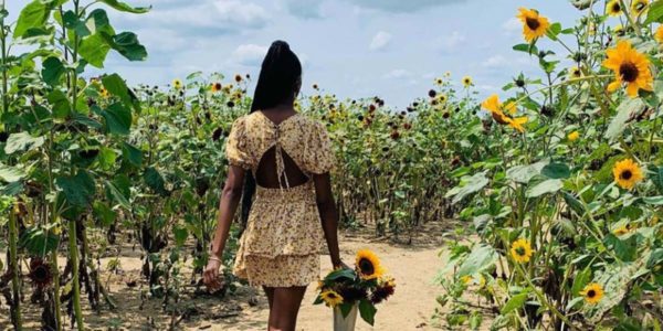 Michigan Bucket List Sunflower Festivals