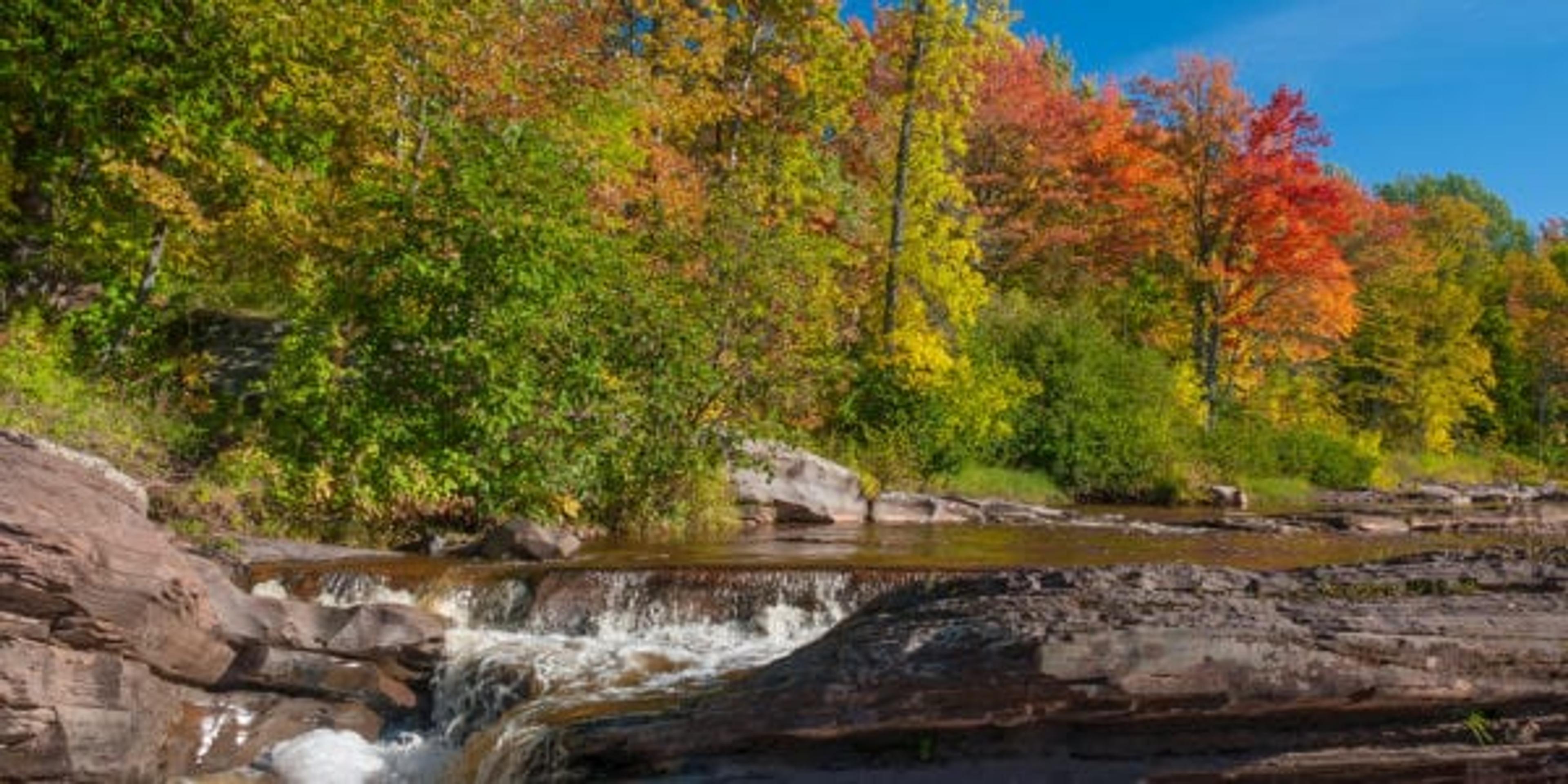 fall in michigan