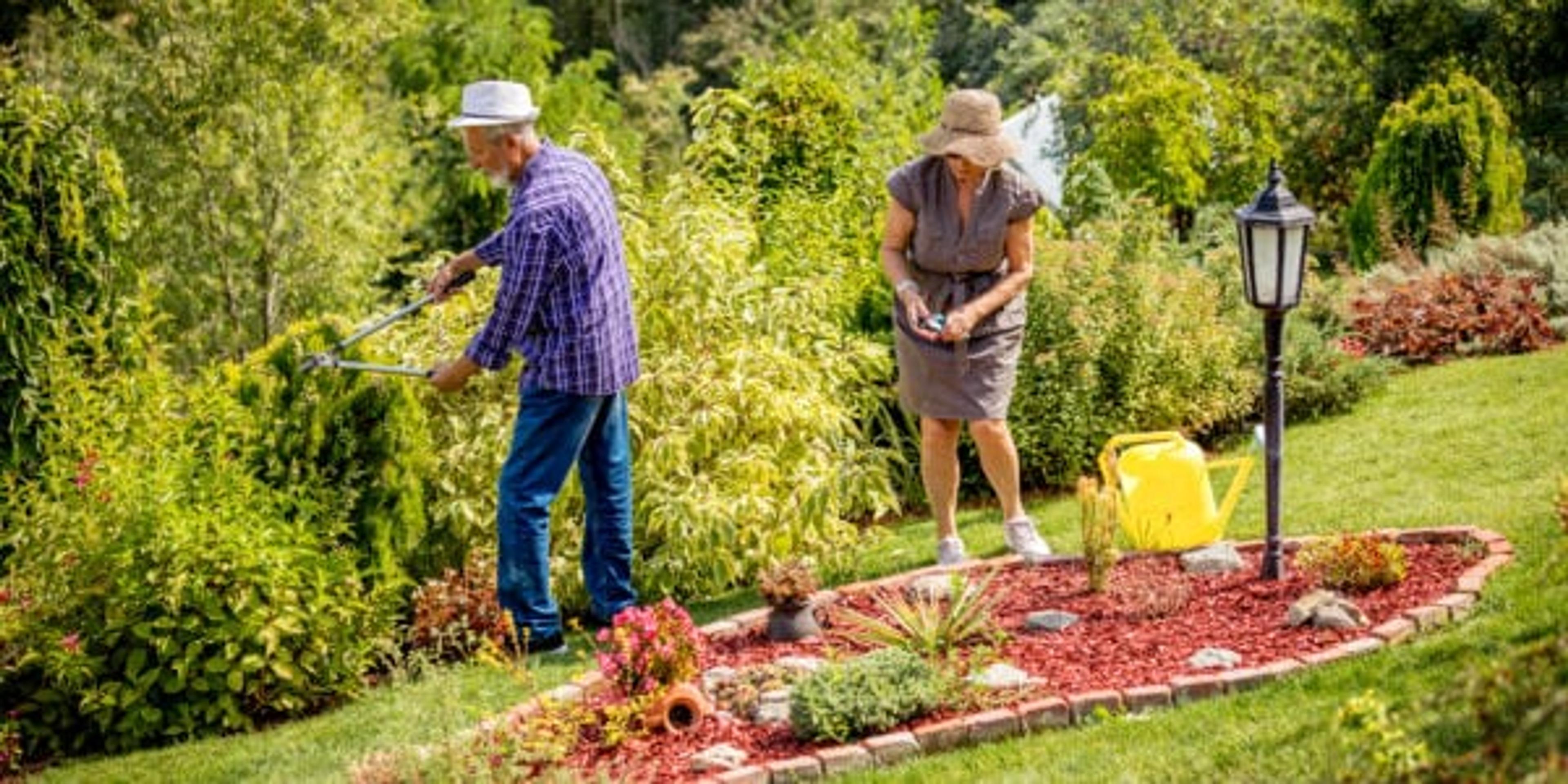 portrait of a lovely smiling European senior couple taking care of green plants in the garden