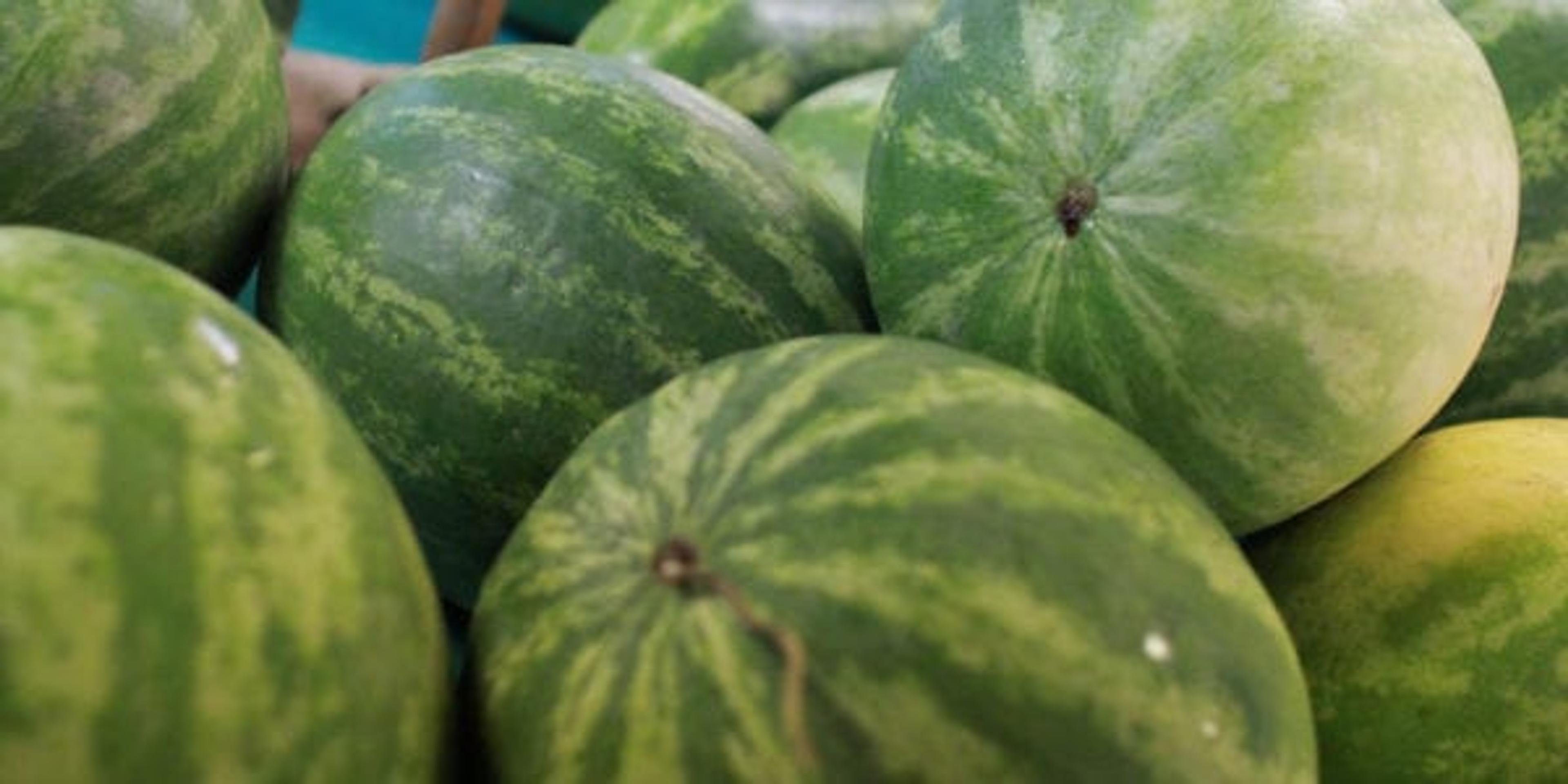 Picking a ripe watermelon