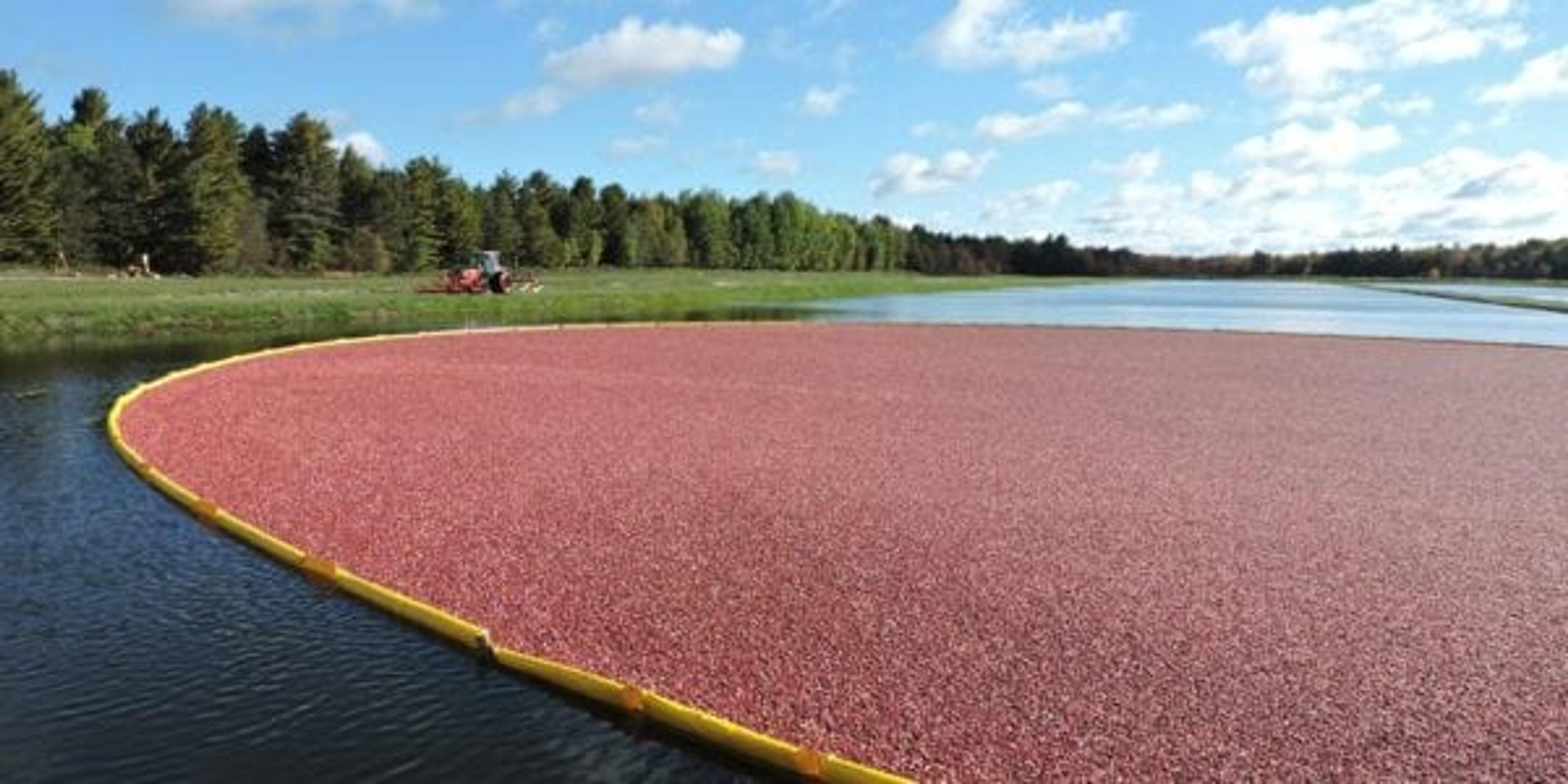 Michigan Cranberry Company