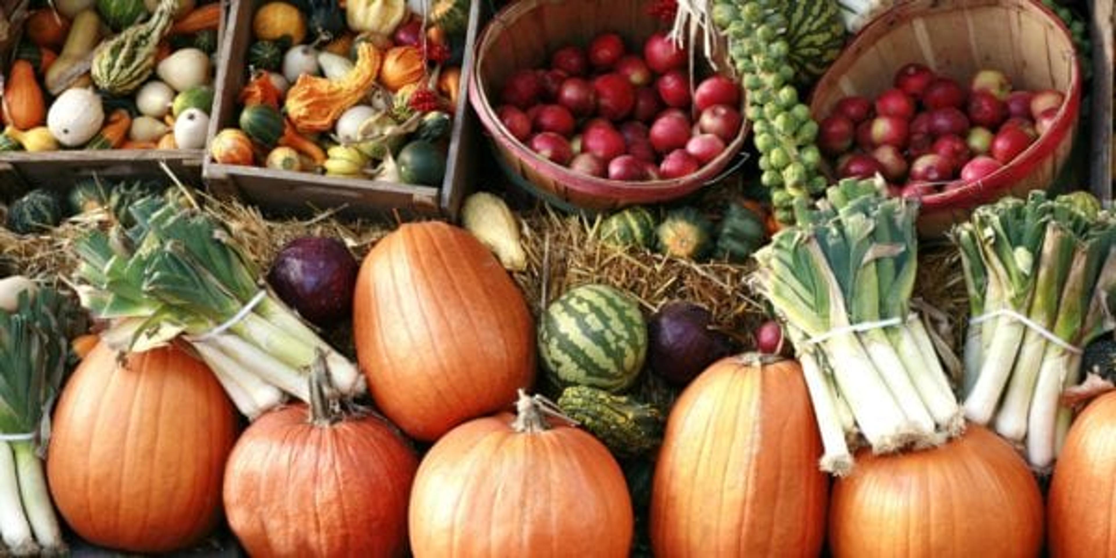 Pumpkins and gourds at farmer's market.