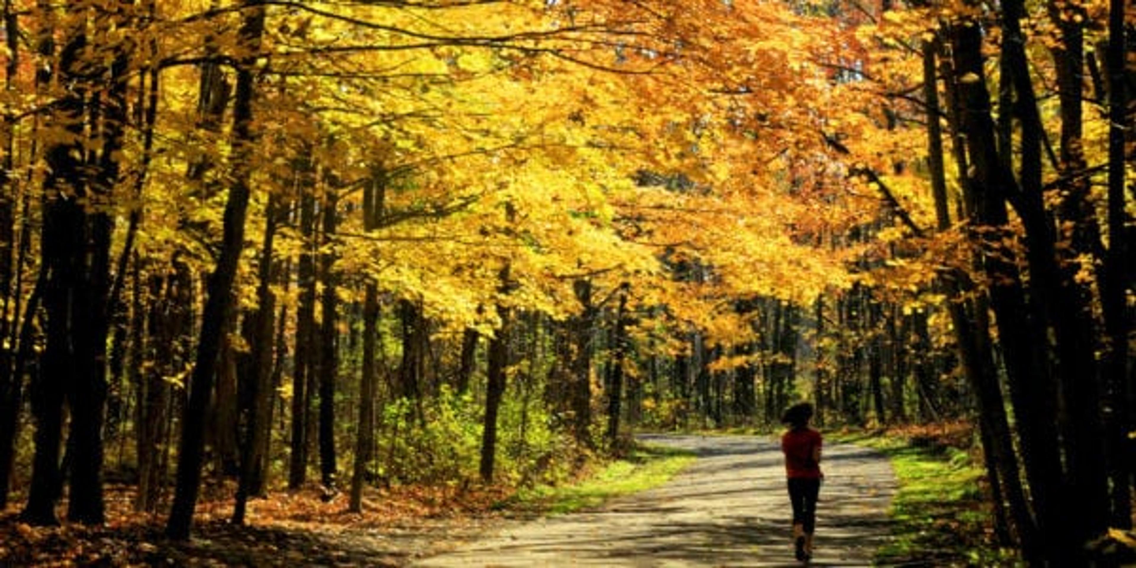 Woman jogging