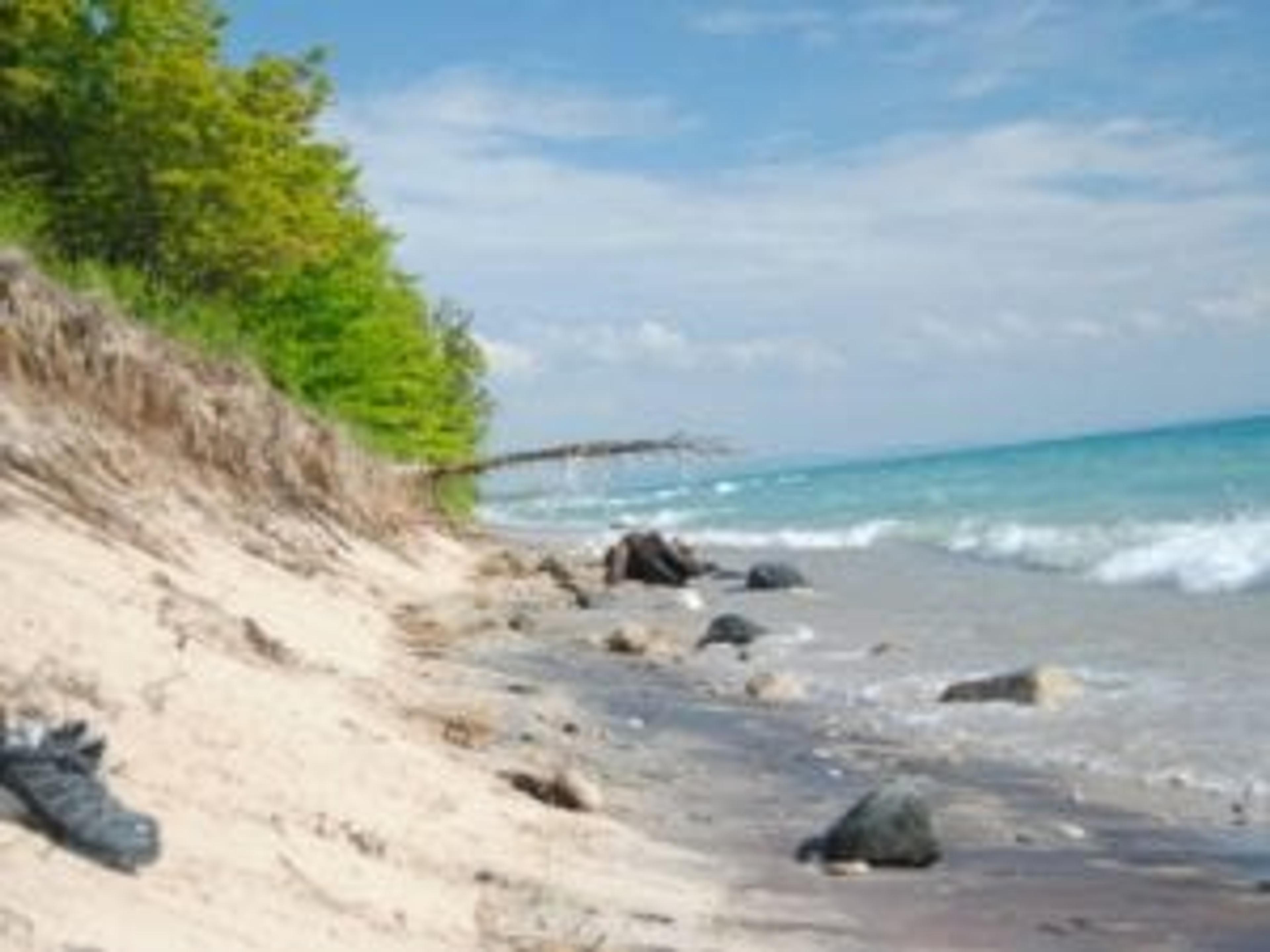 beach and woods to the left and clear blue water to the right