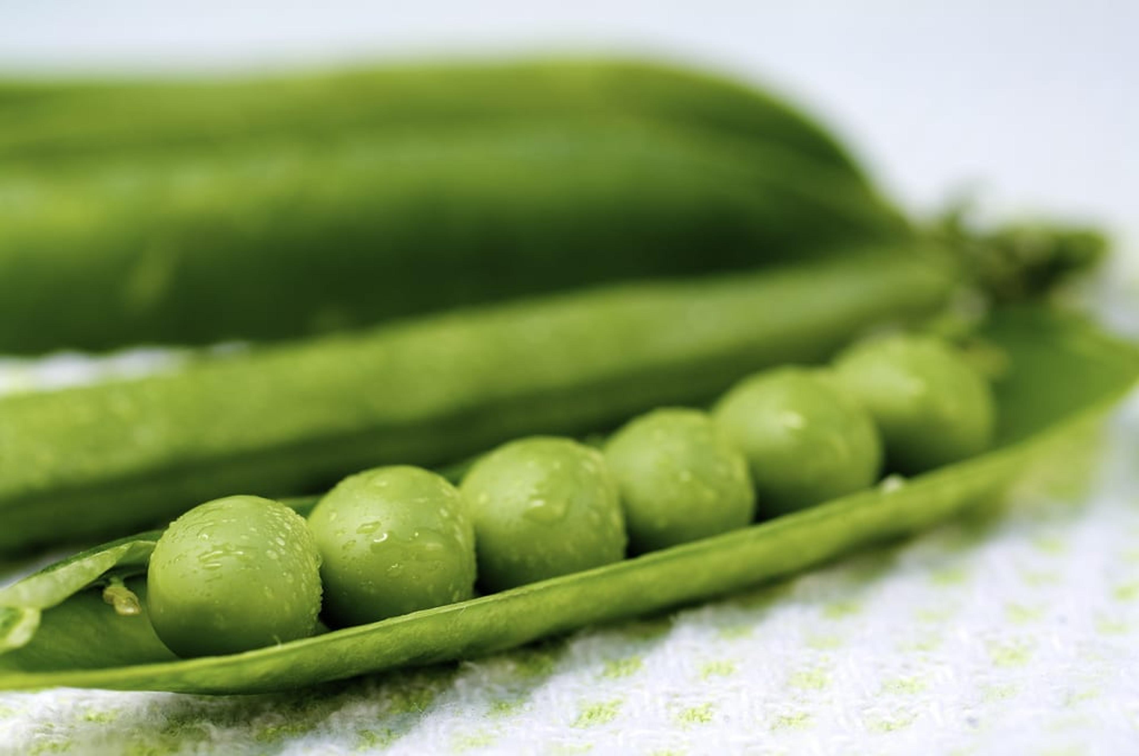 Veggies packed with protein