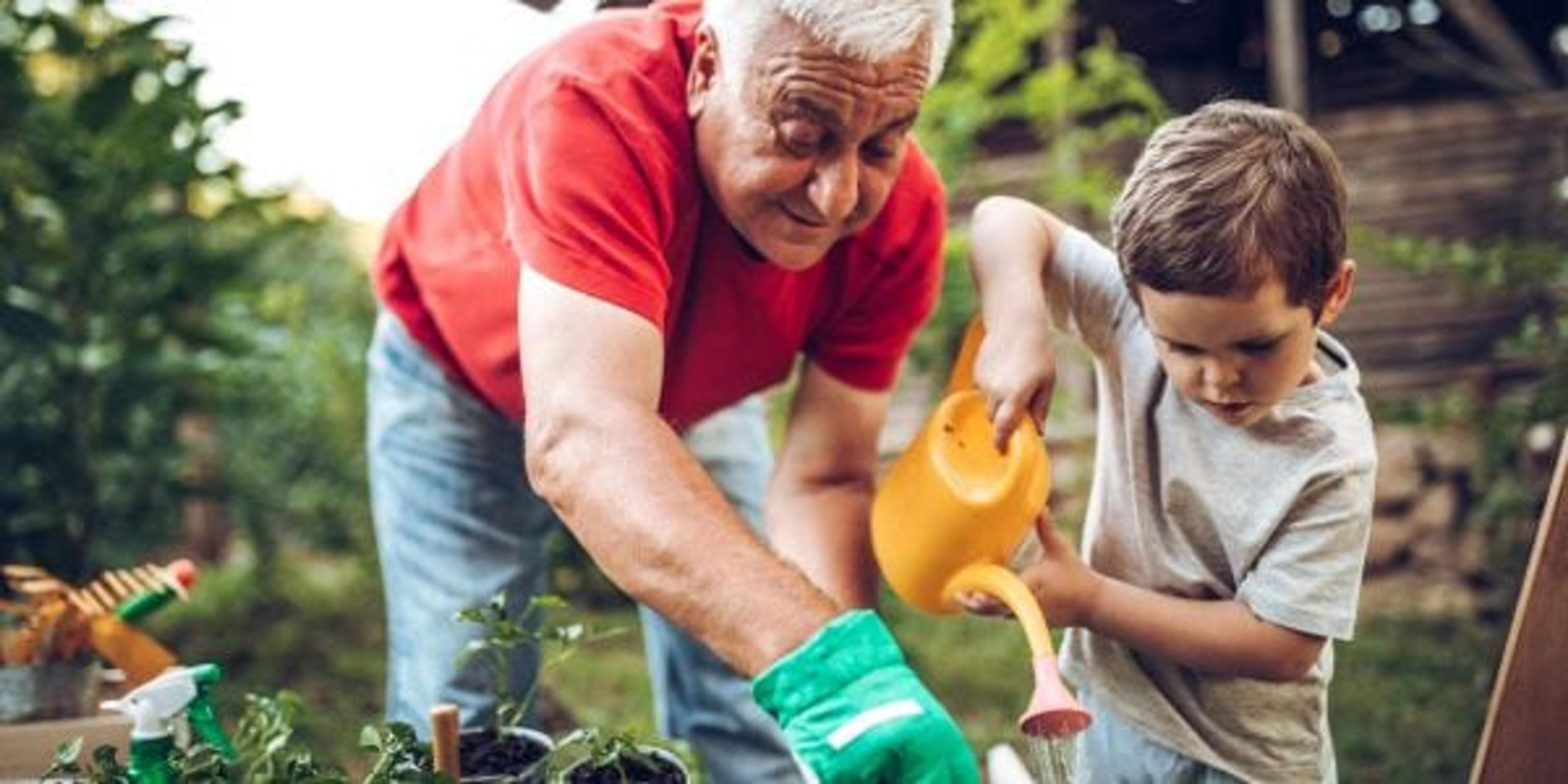 Grandfather and grandson working together in the garden.