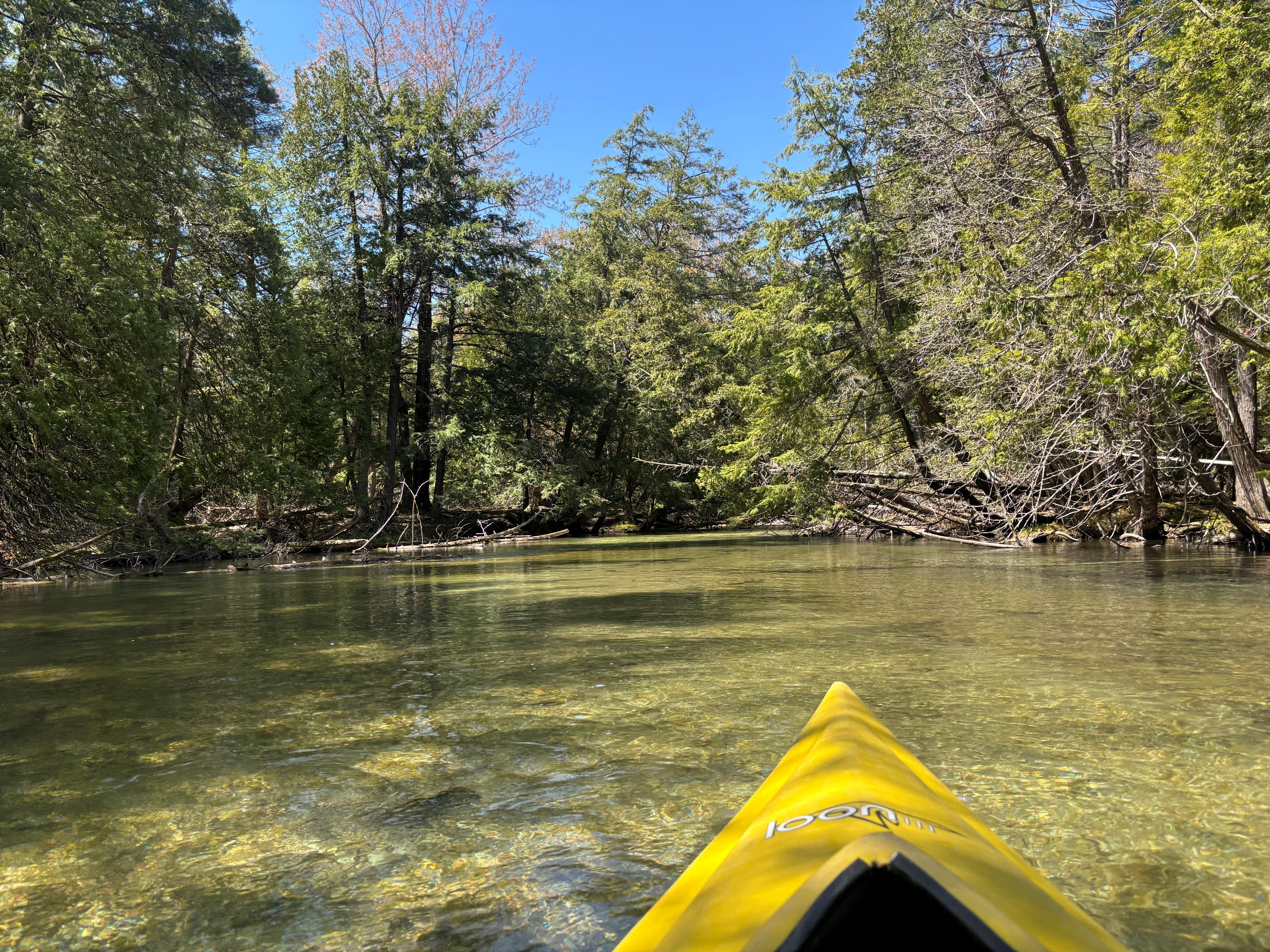 Michigan Kayaking Spots Perfect for First-Timers