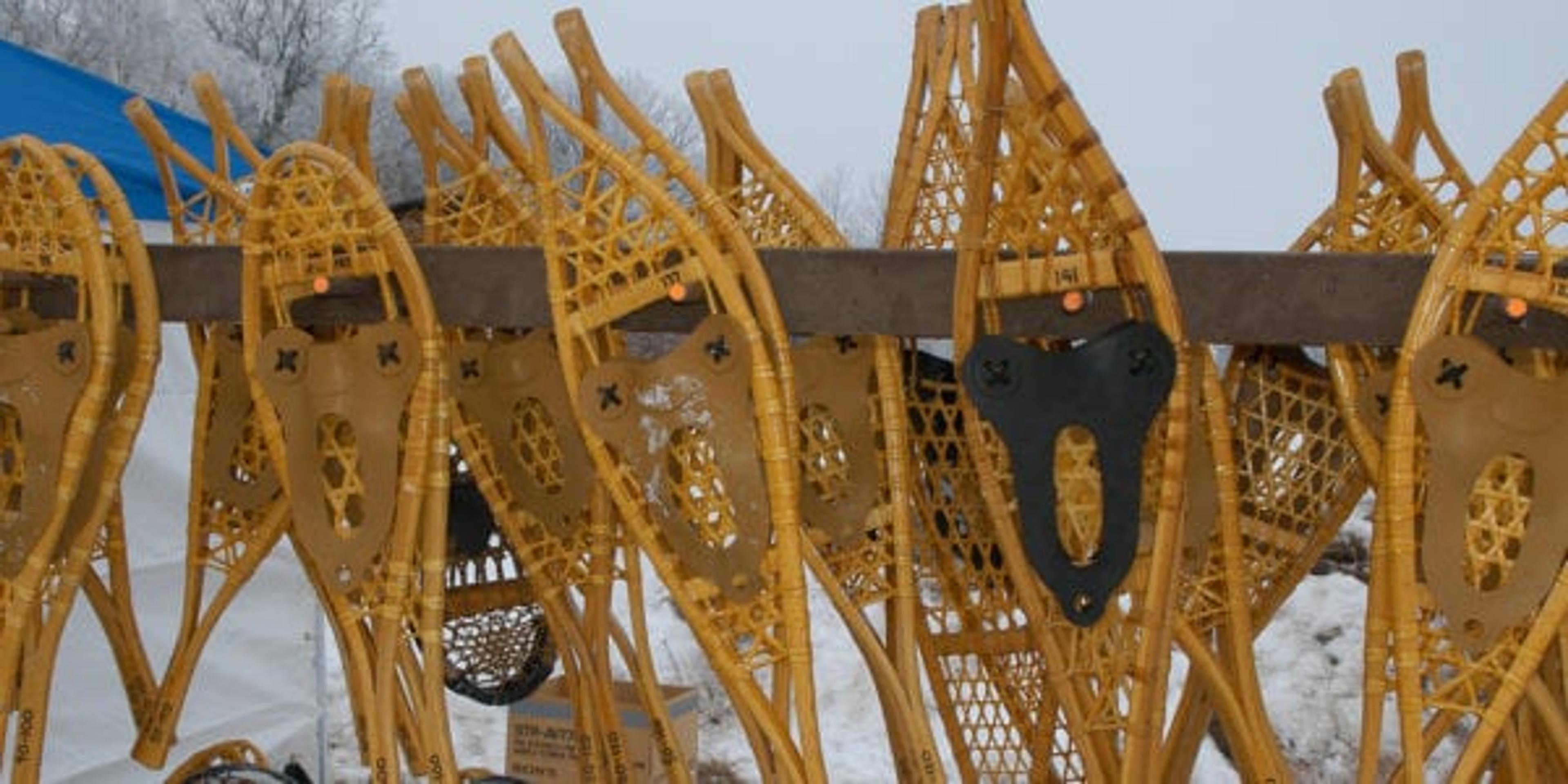 Snowshoe in Michigan