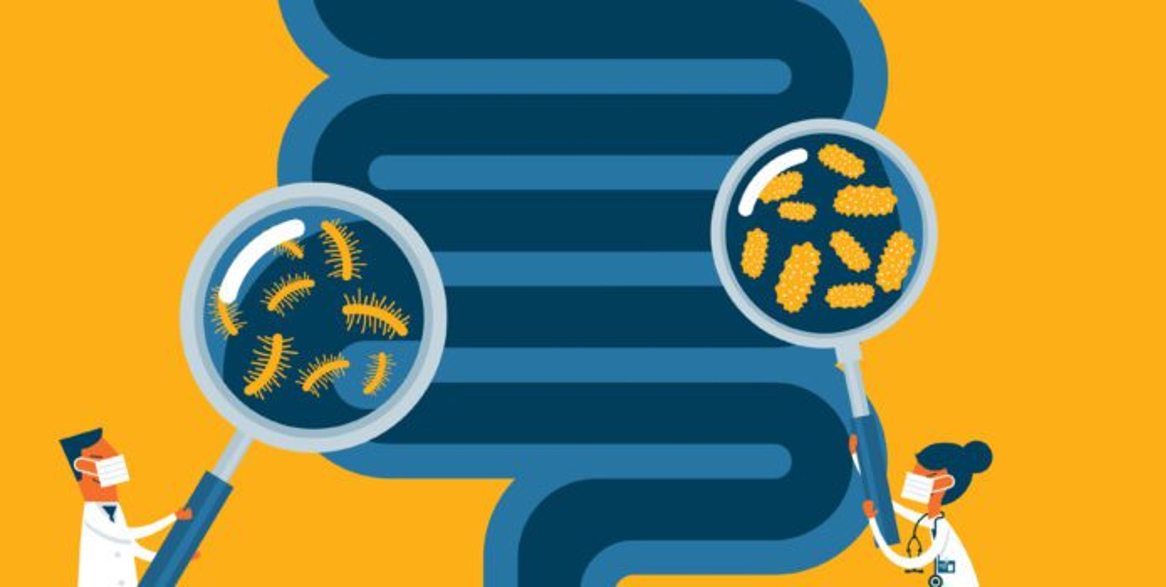 How to Take Care of Your Gut