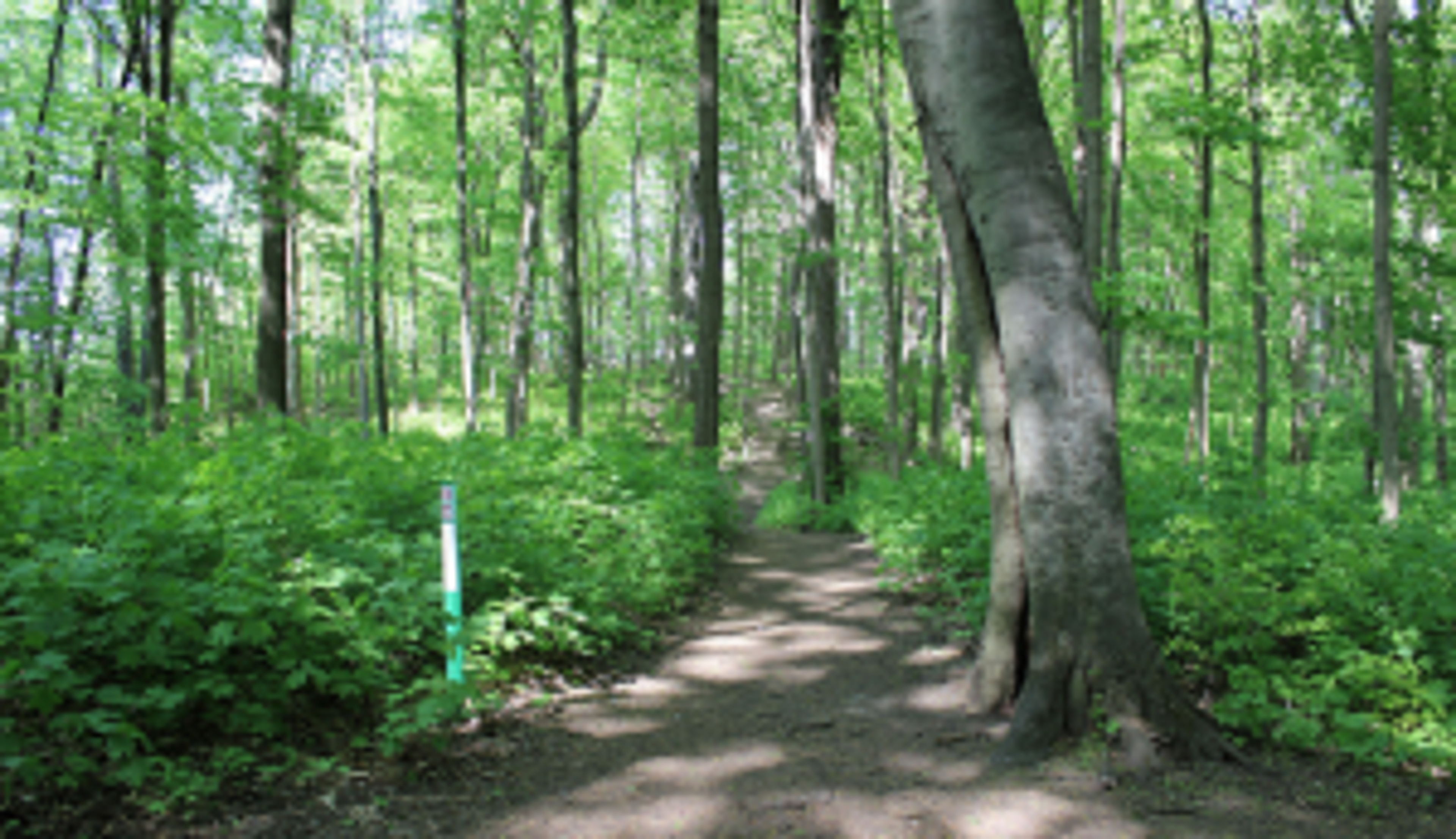 Maybury State Park