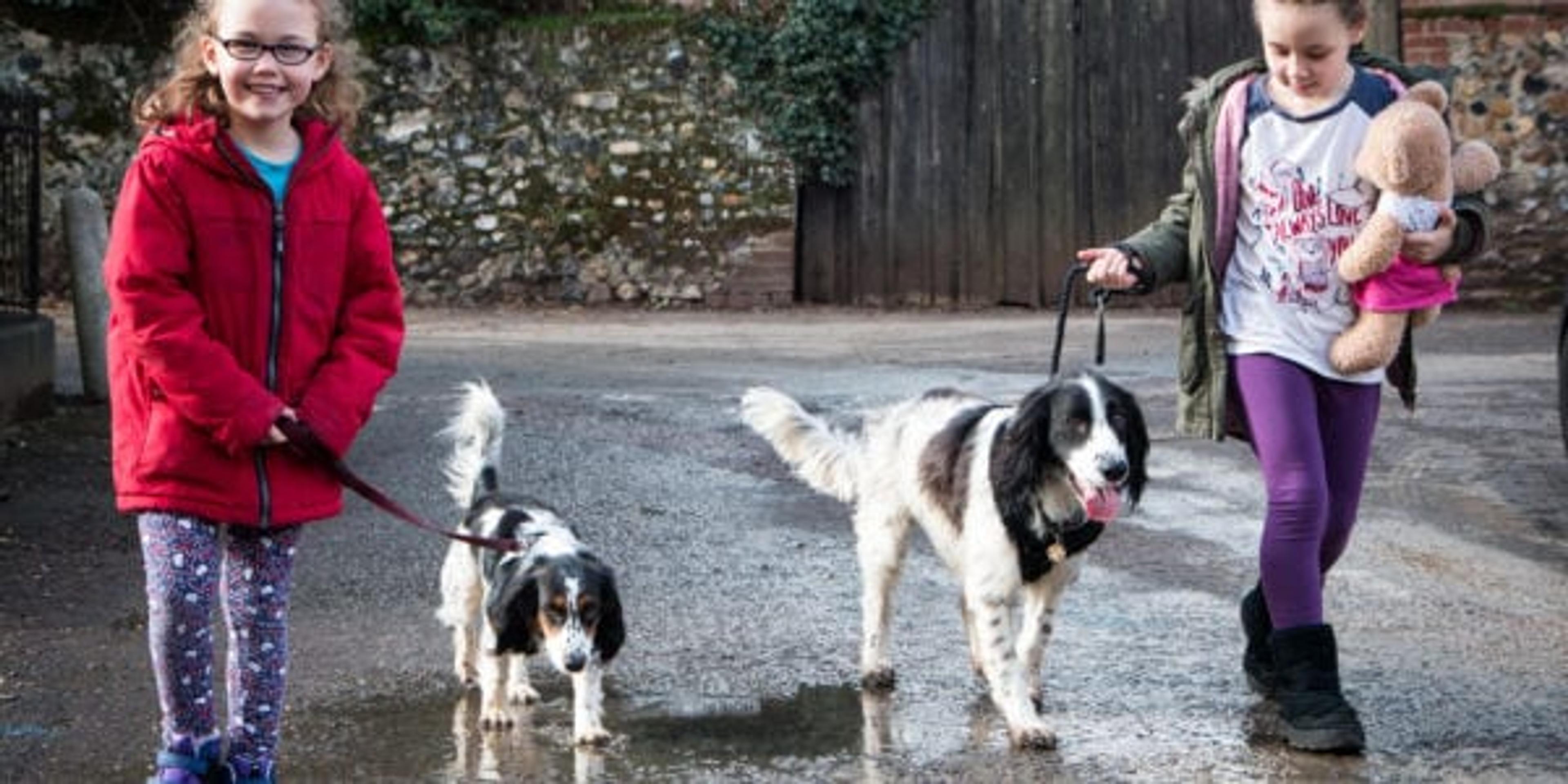 Two Kids Walking a Dog