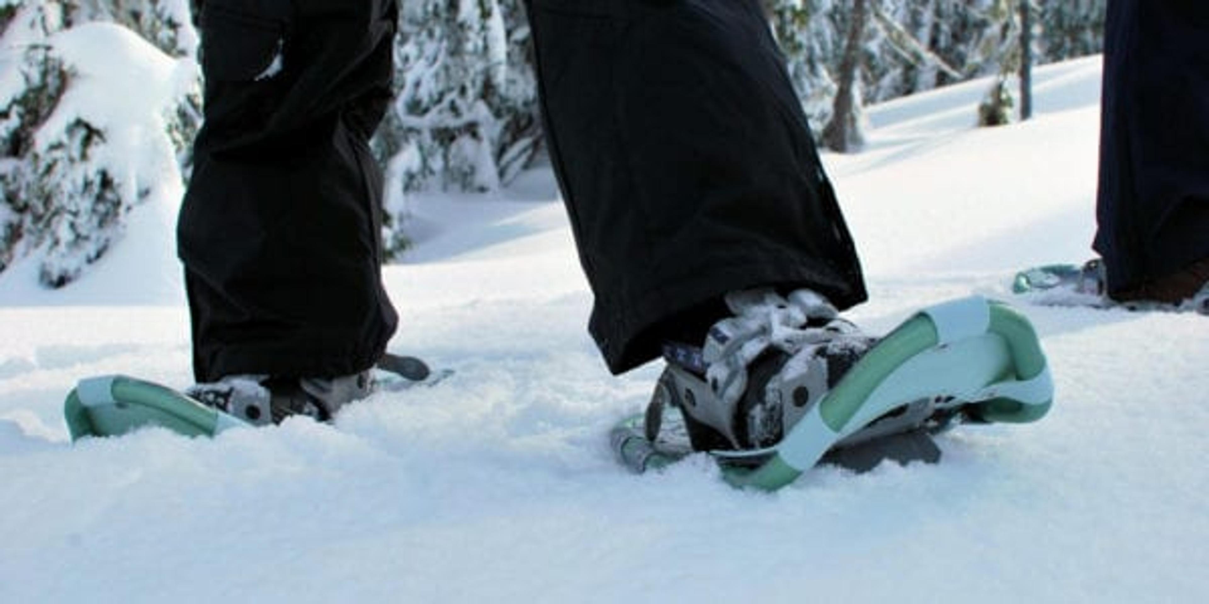 winter in snowshoes