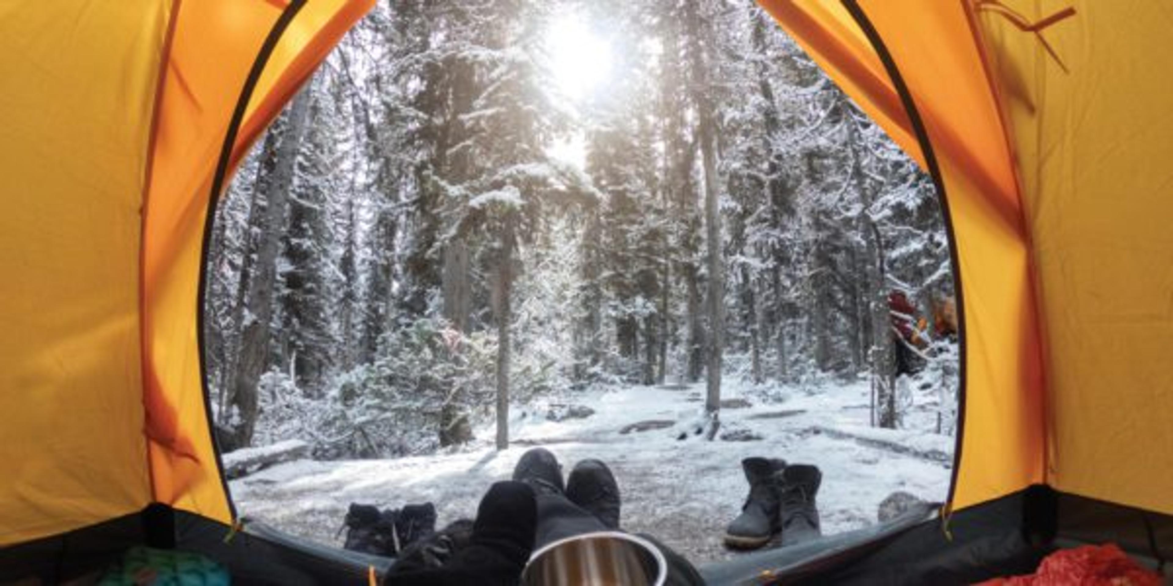 A person's first-person-view of the wintertime wilderness from the inside of a tent.