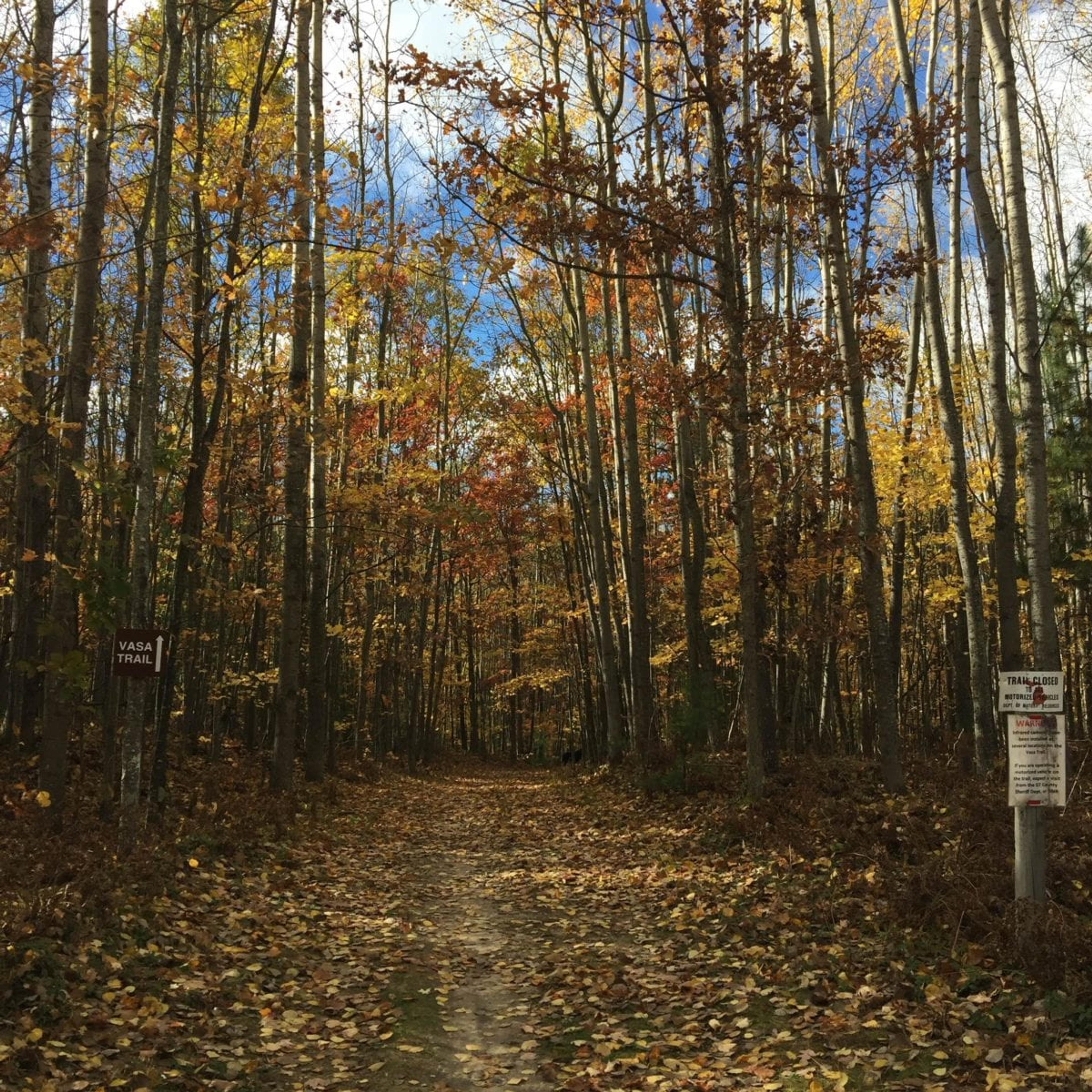 Heather trail