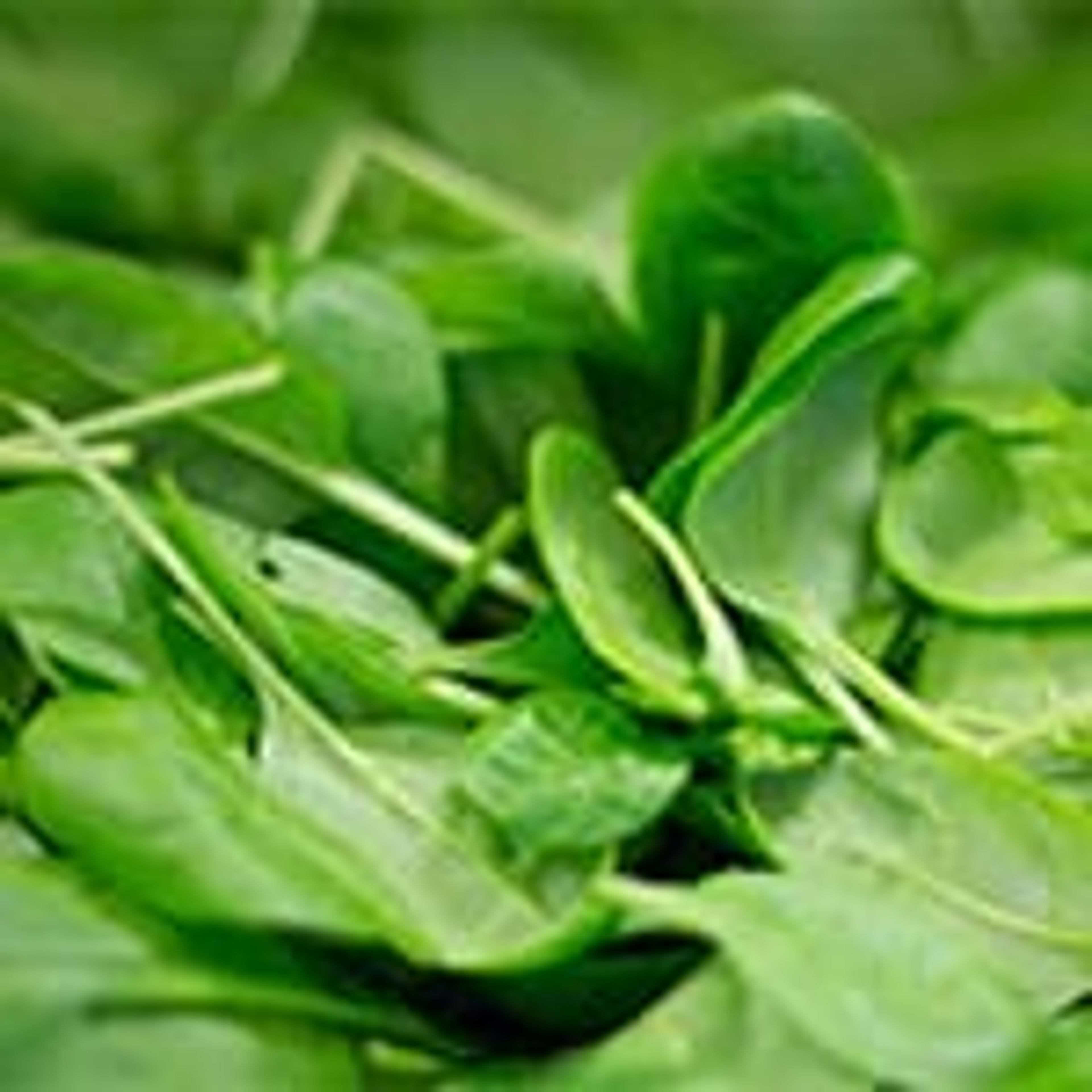 spinach leaves