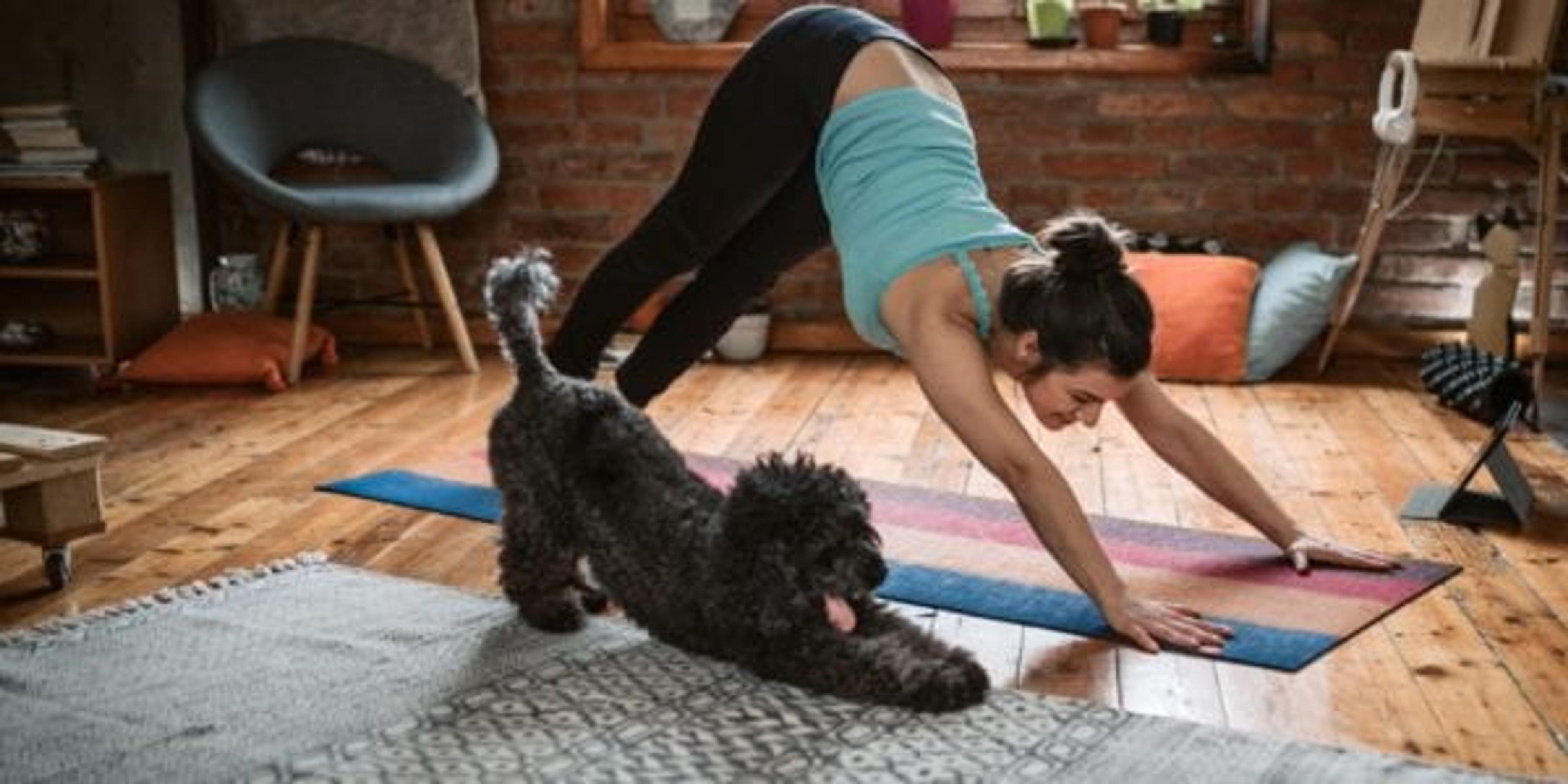 Woman doing yoga with her dog