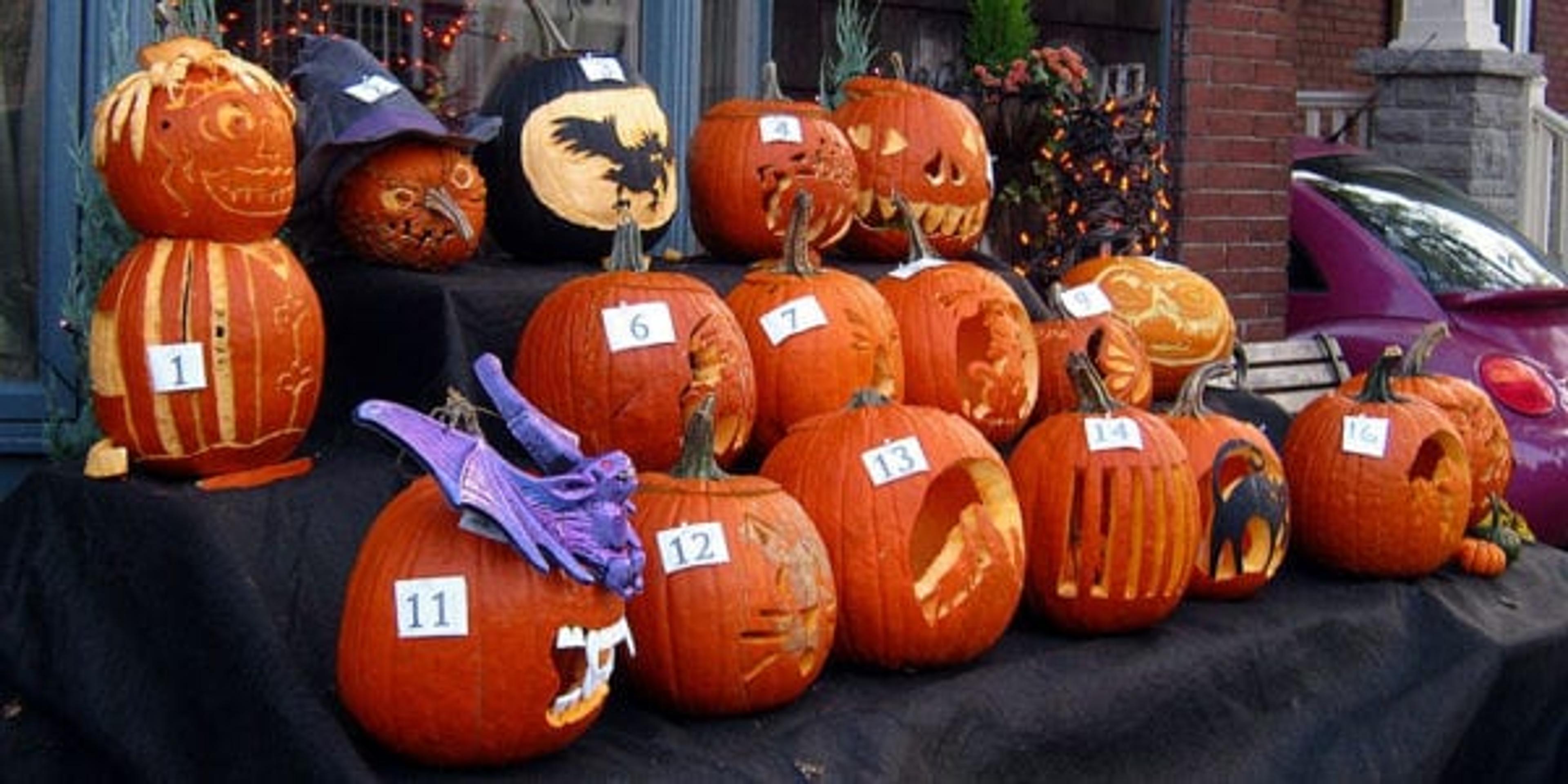 Crafty pumpkins lined up for judging.
