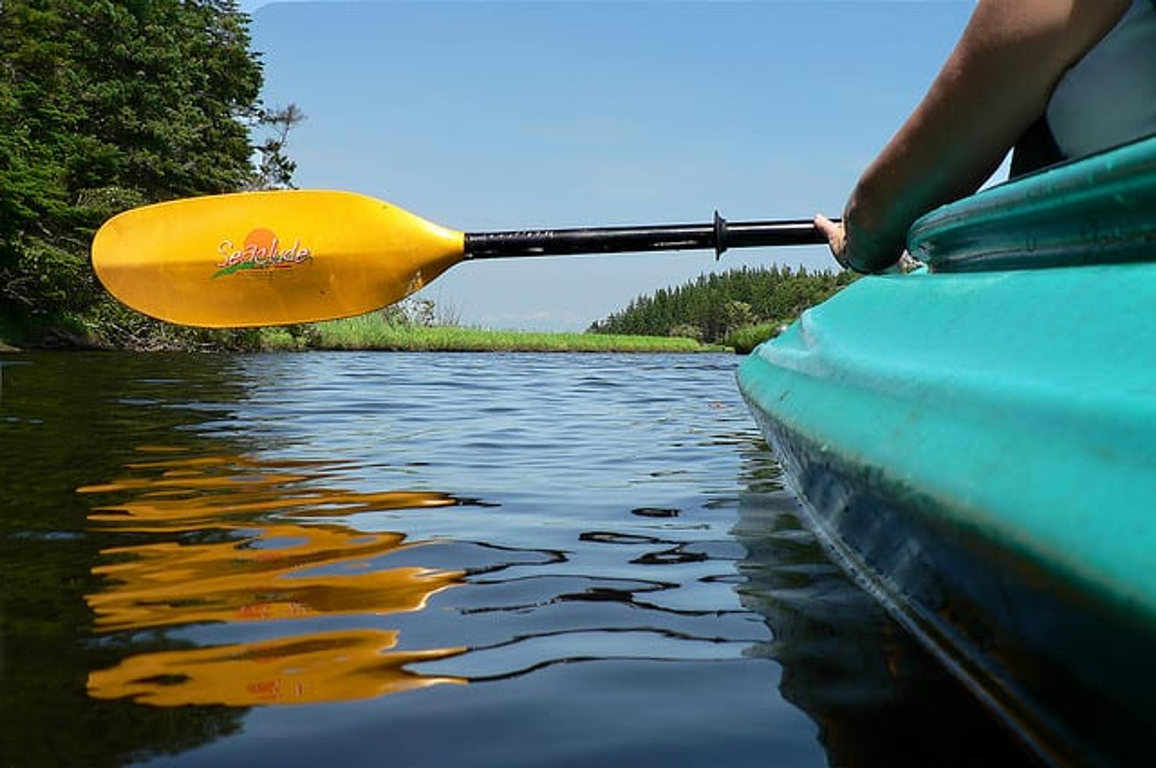 Canoe race