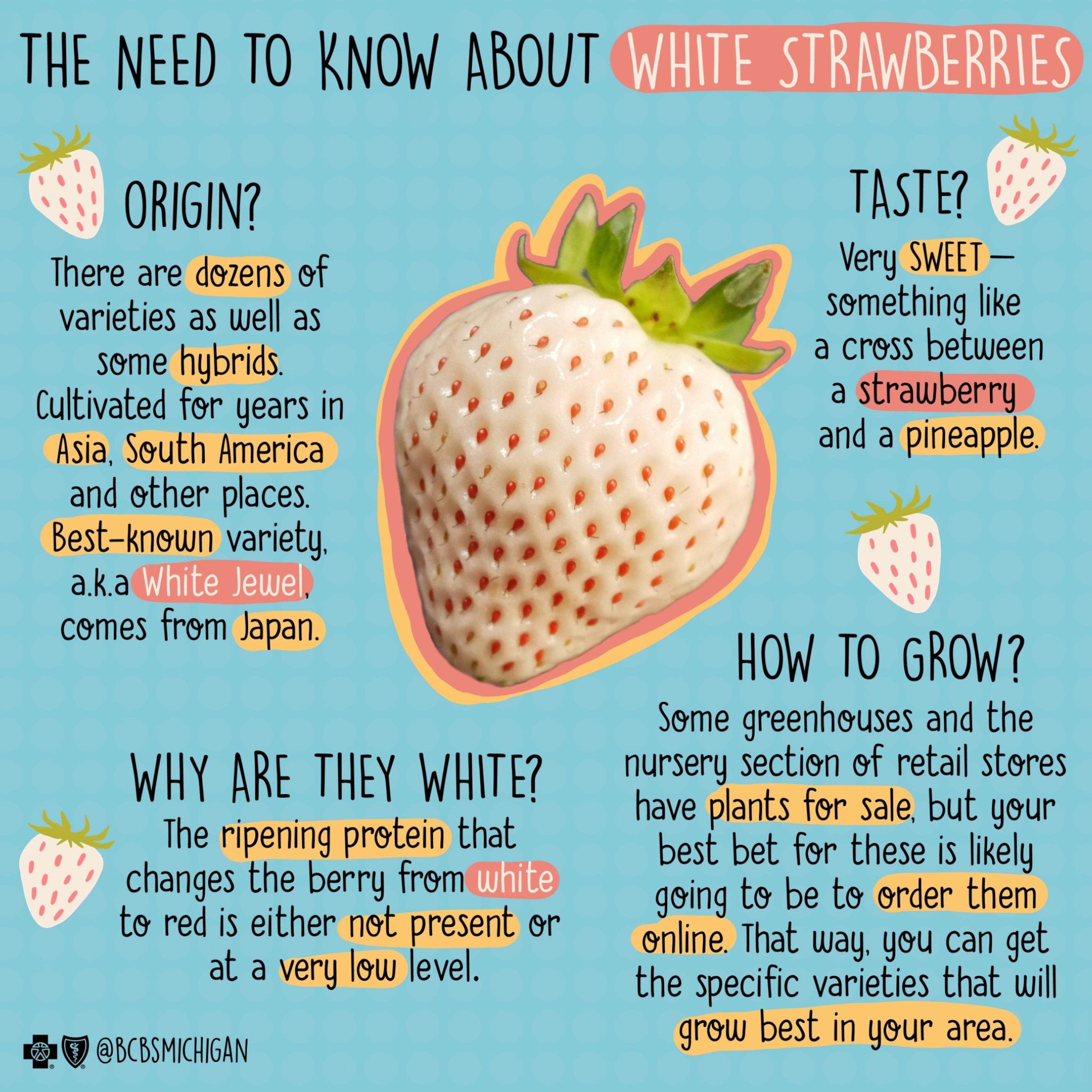 White strawberry graphic