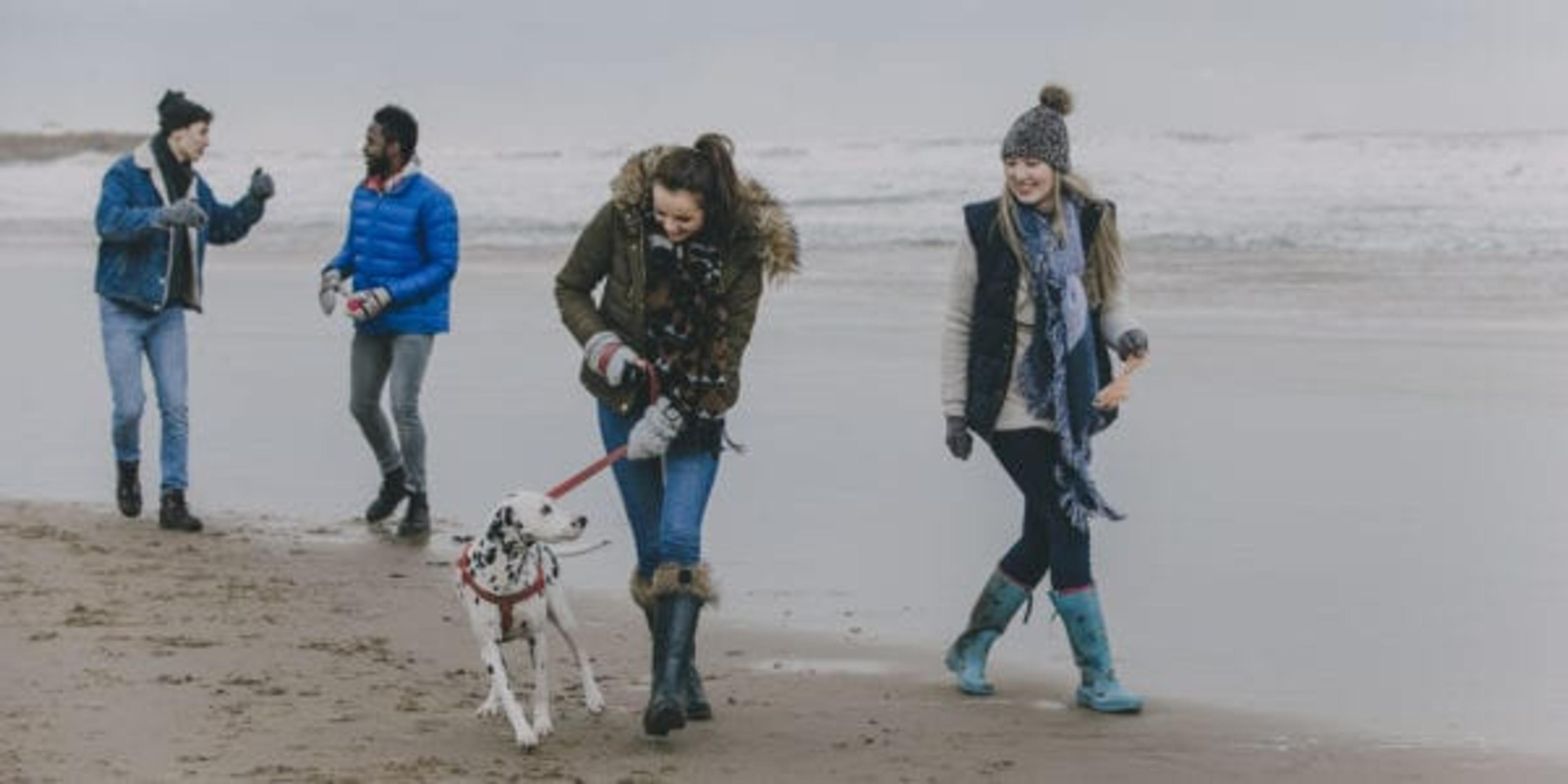 Friends walking dog on the beach