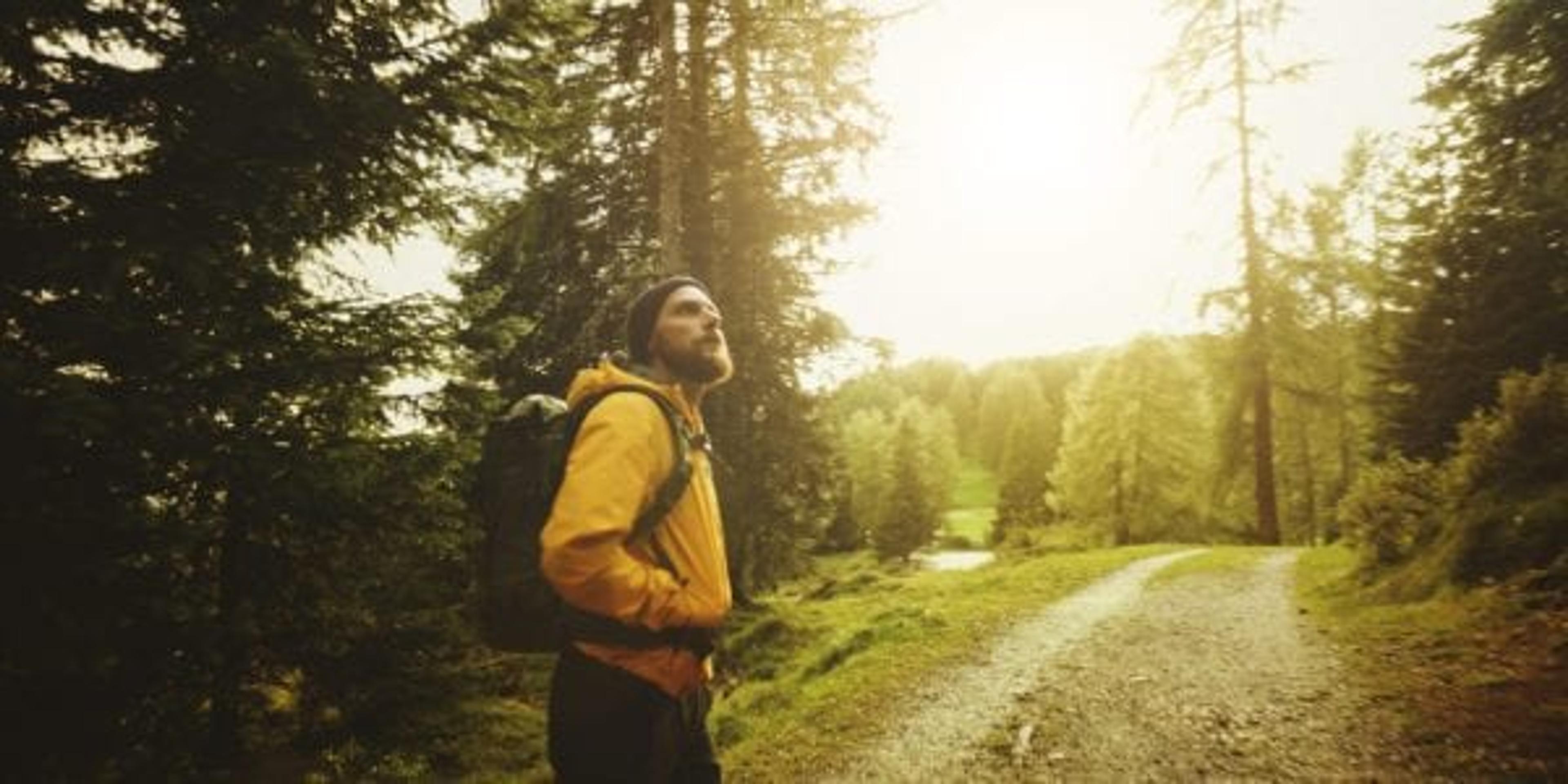 Man hiking and exploring forest area