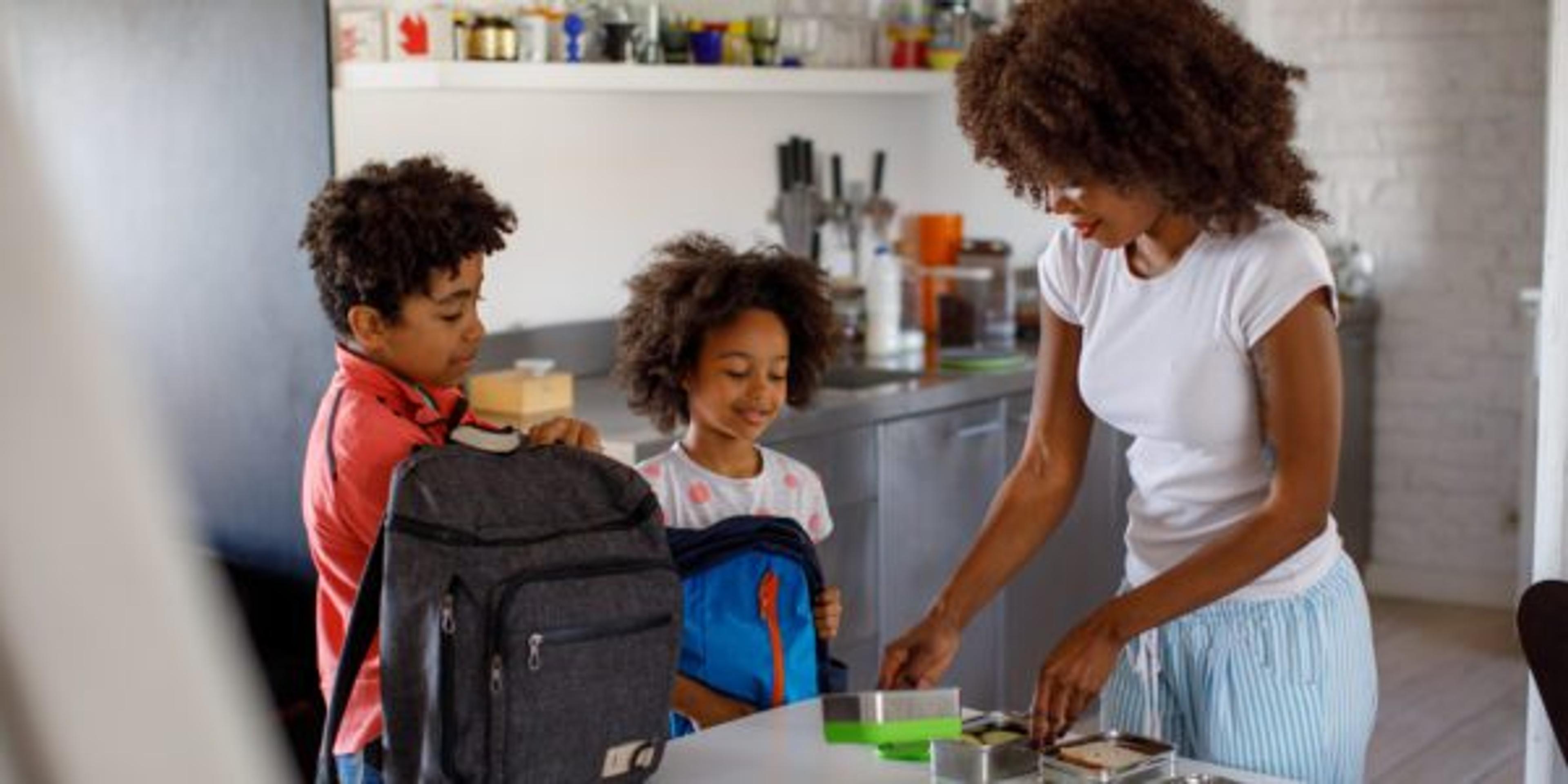 Mother Making School Lunch