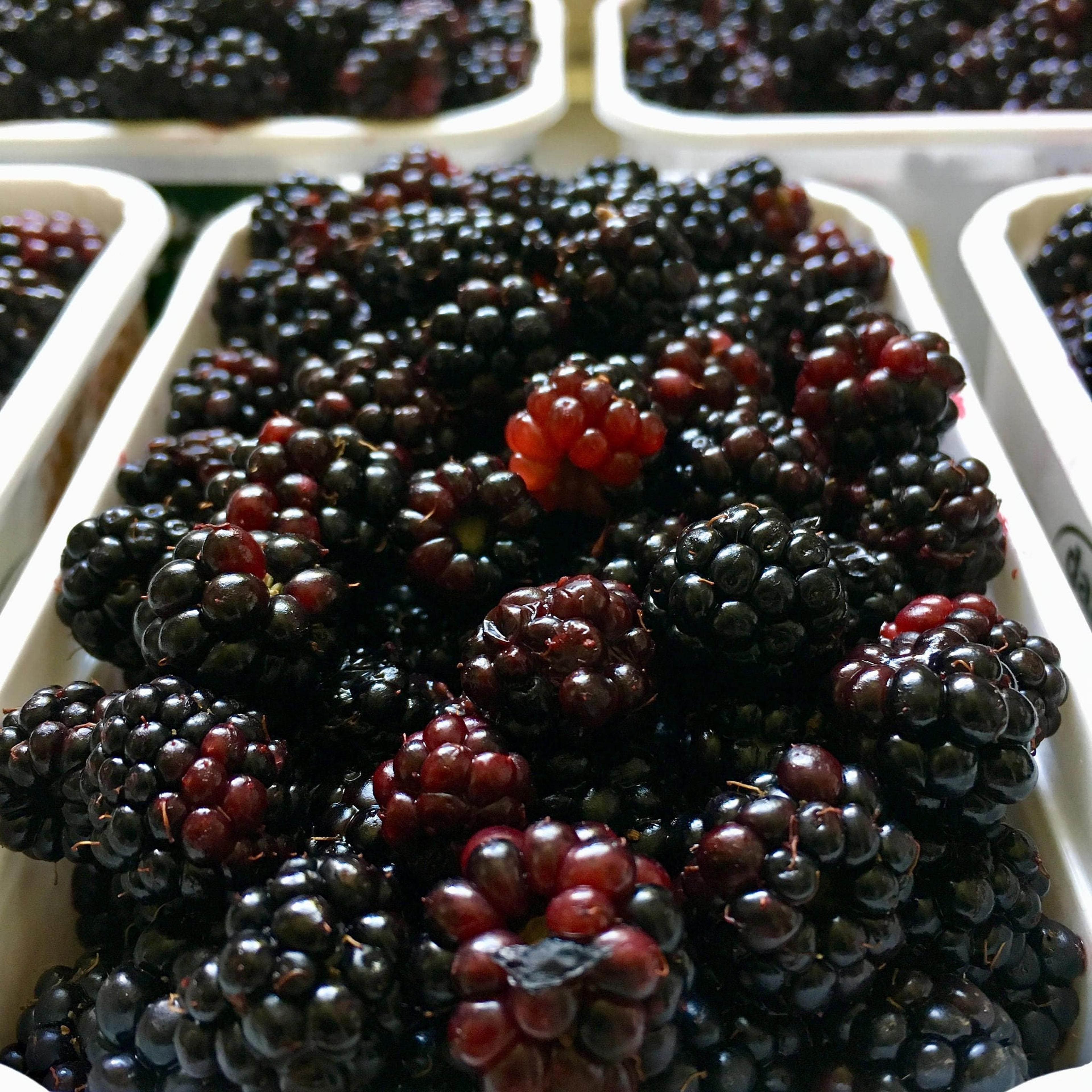 Image of blackberries
