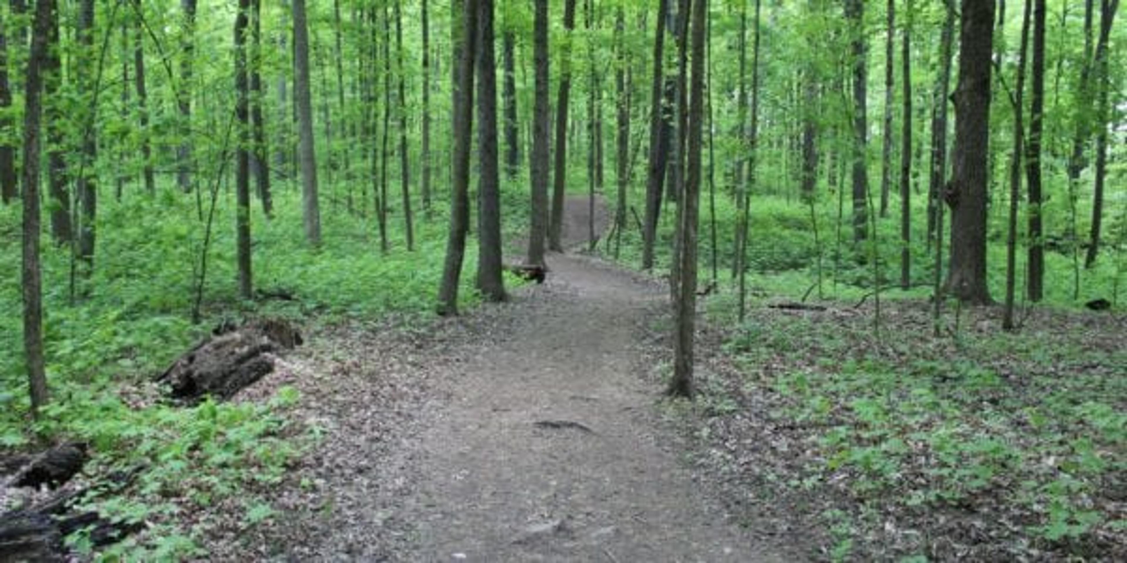 Best hikes in Michigan