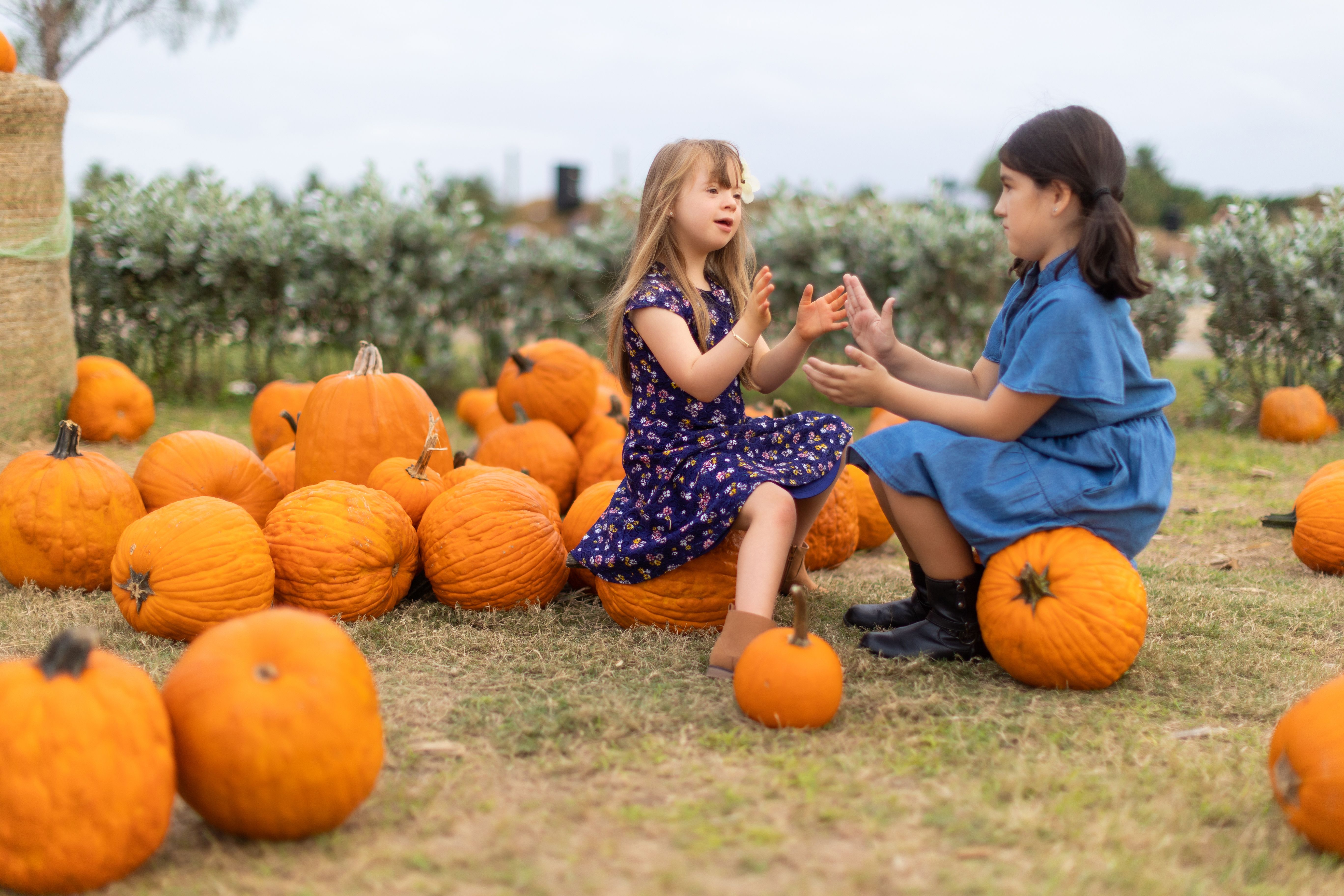 Michigan Bucket List U Pick Pumpkin Patches