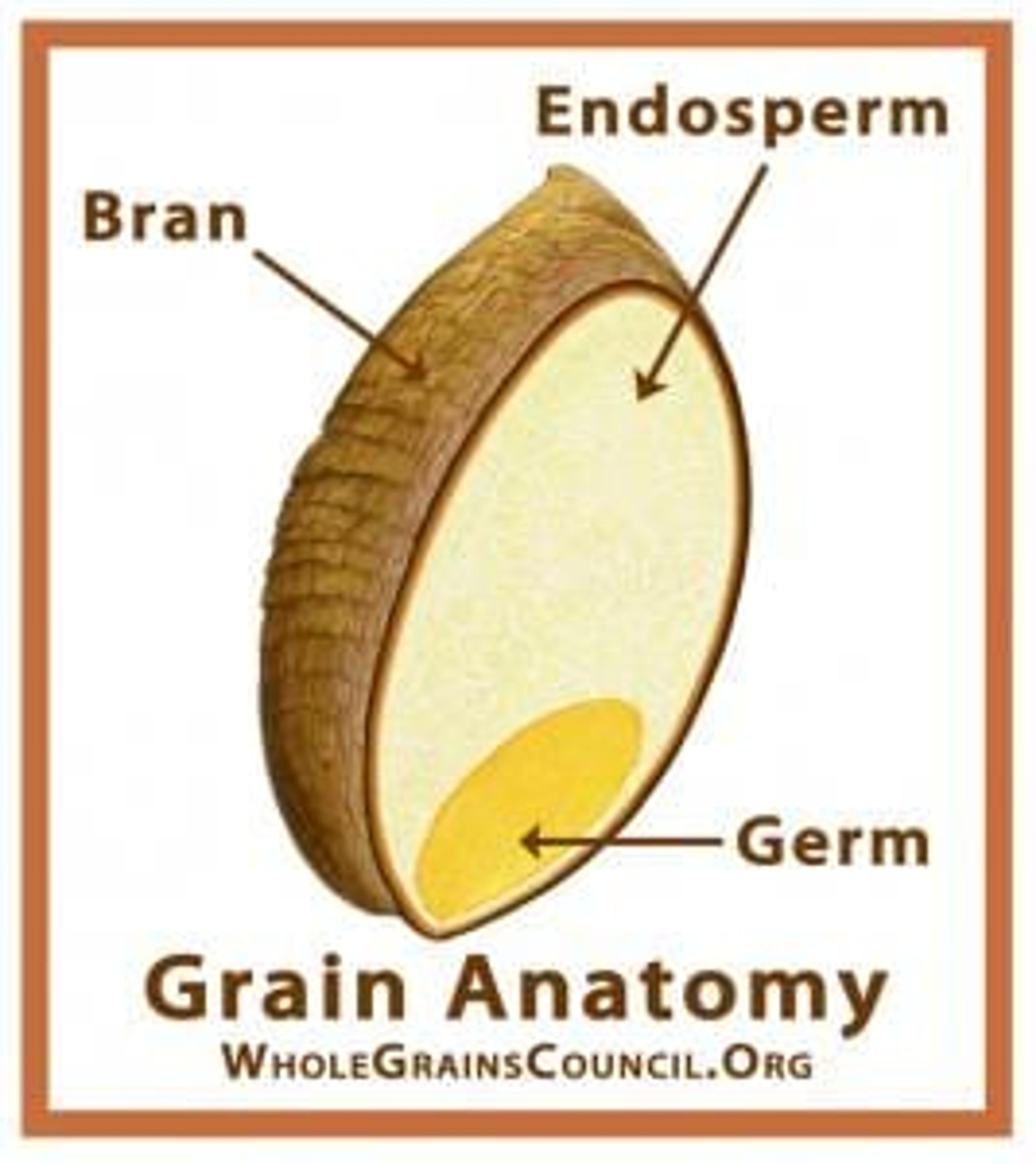 WholeGrainKernel_WGC_0