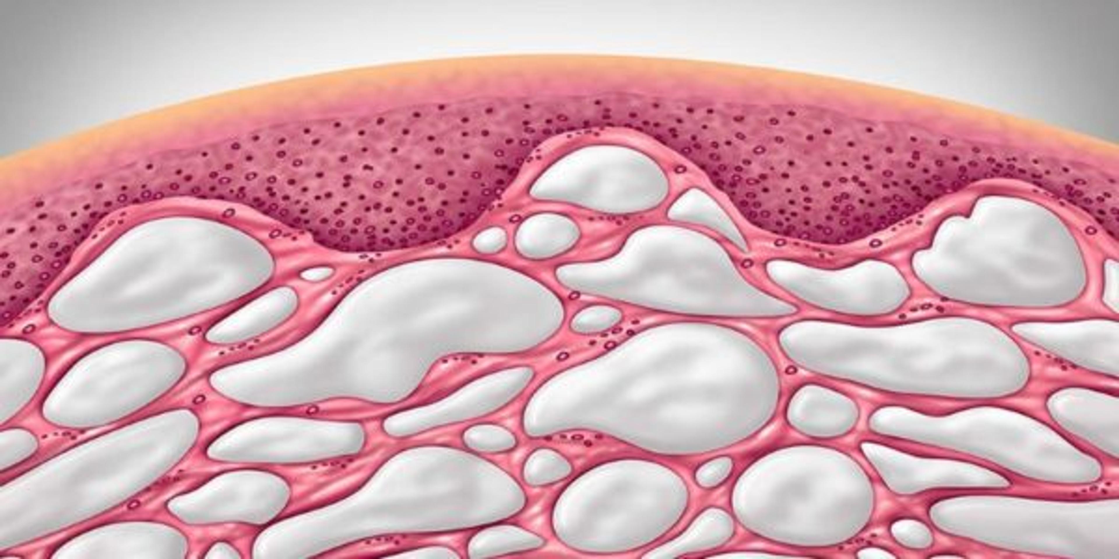 Interstitium