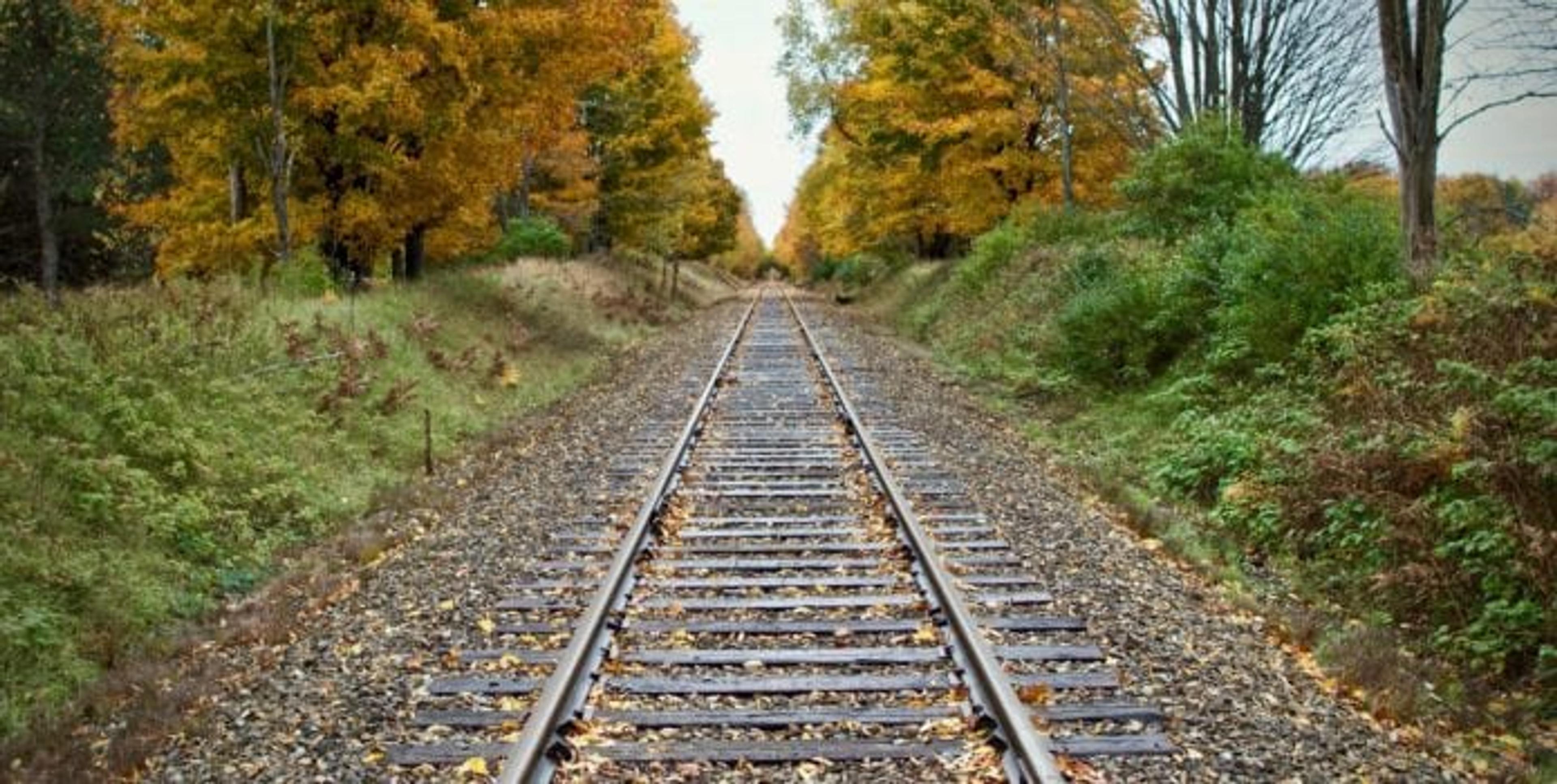 Guided Mindfulness Meditation