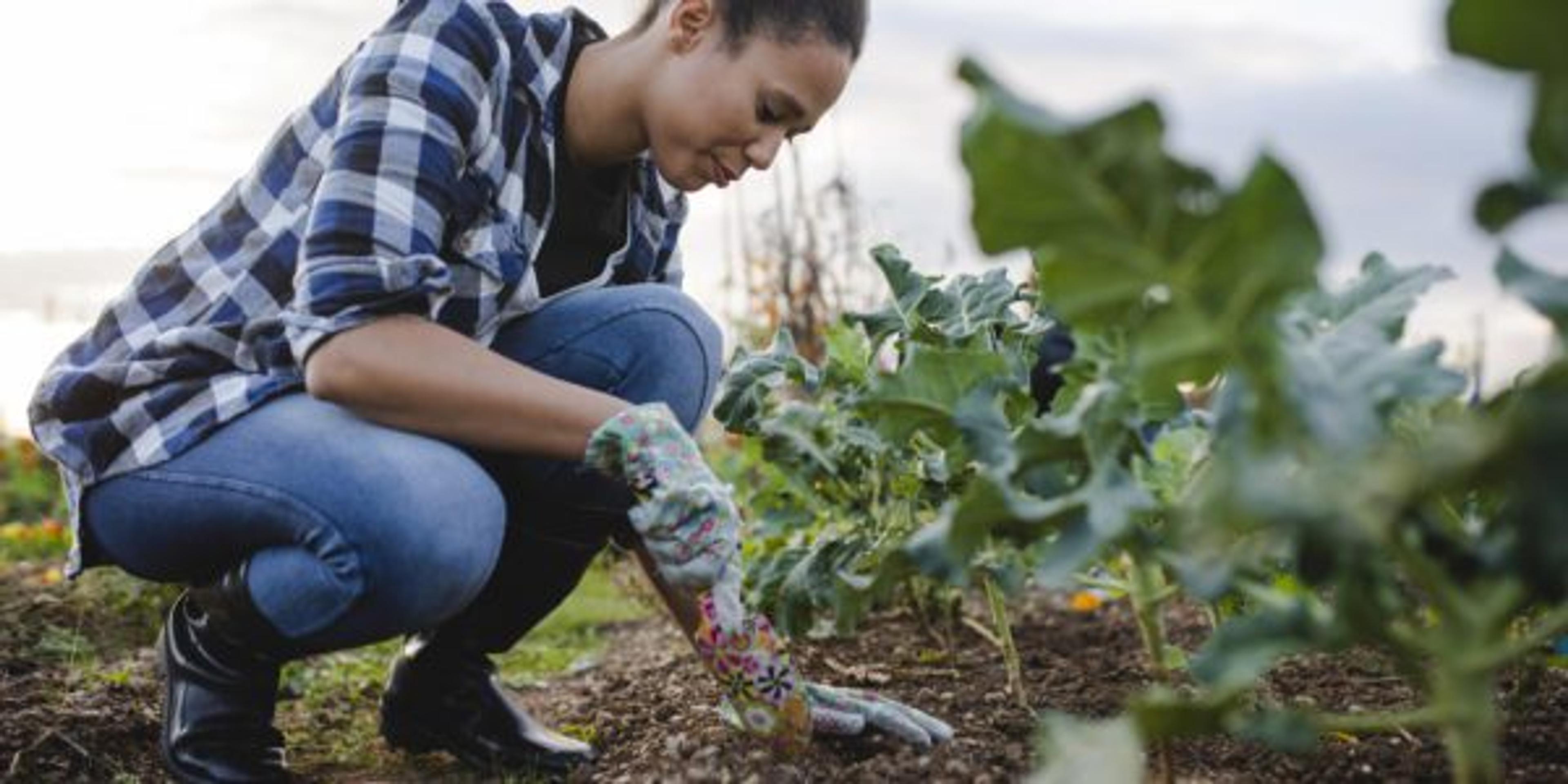 Can Gardening Improve Mental Health?