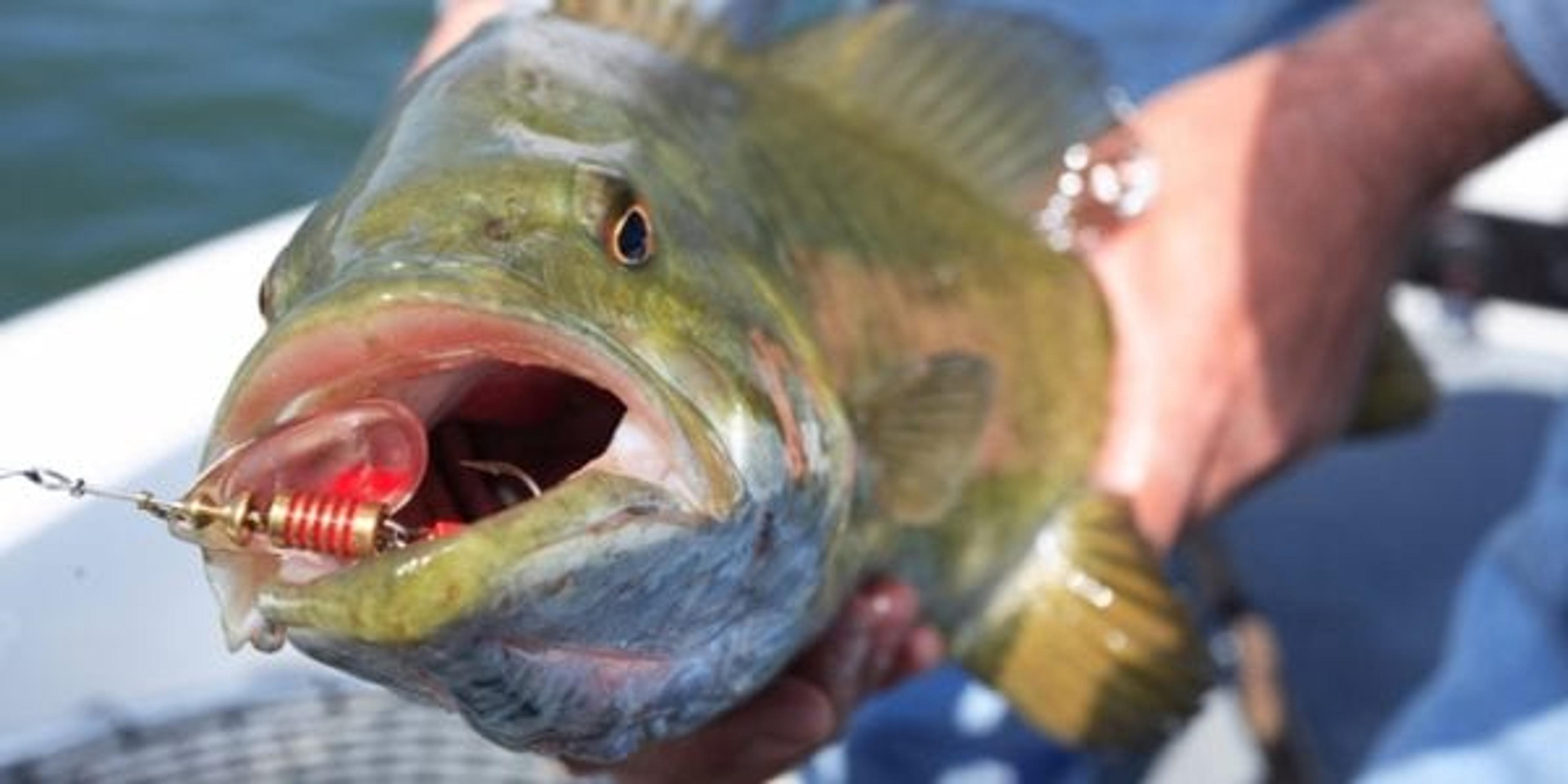 Fishing in Michigan