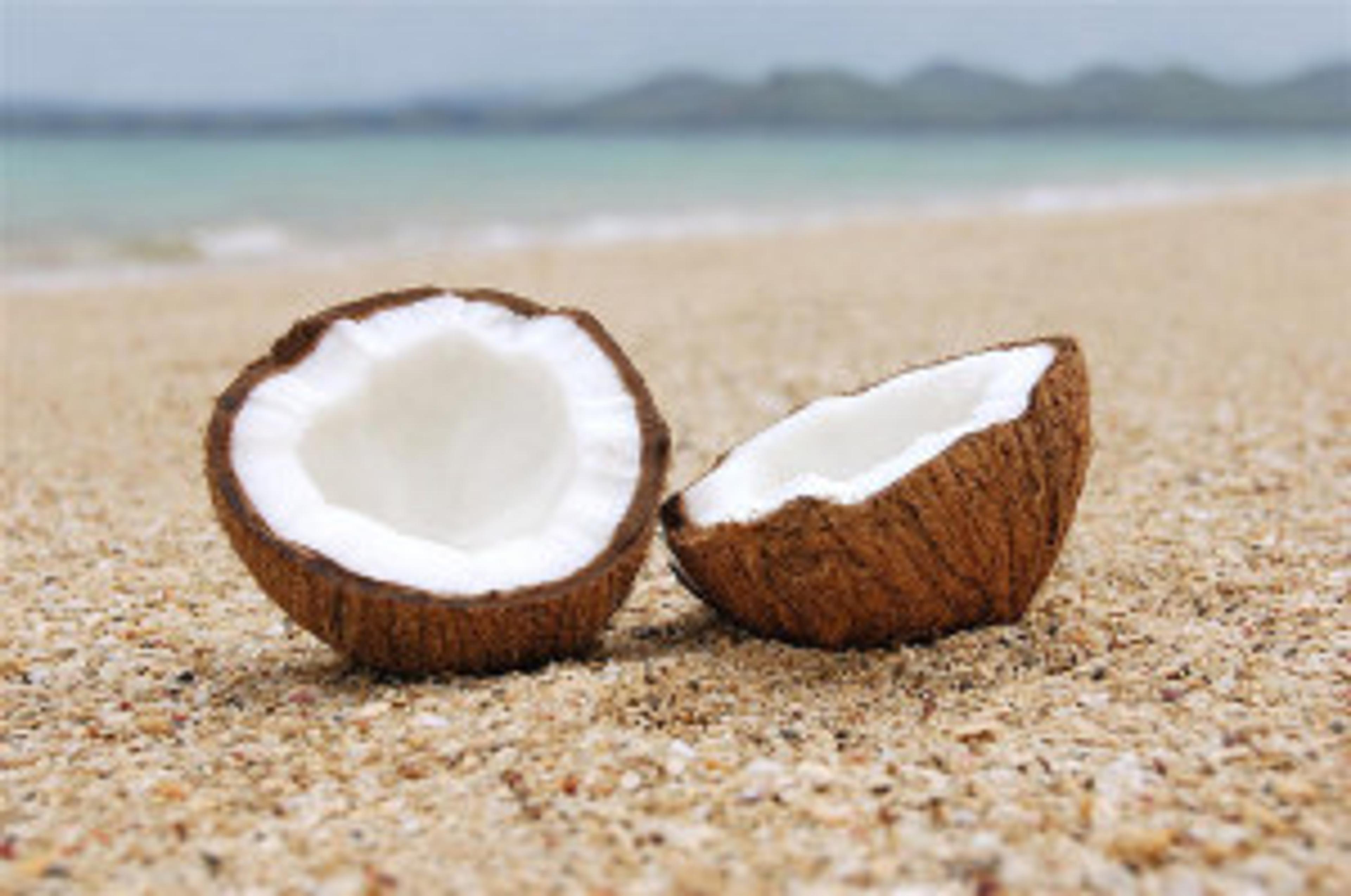 Coconut