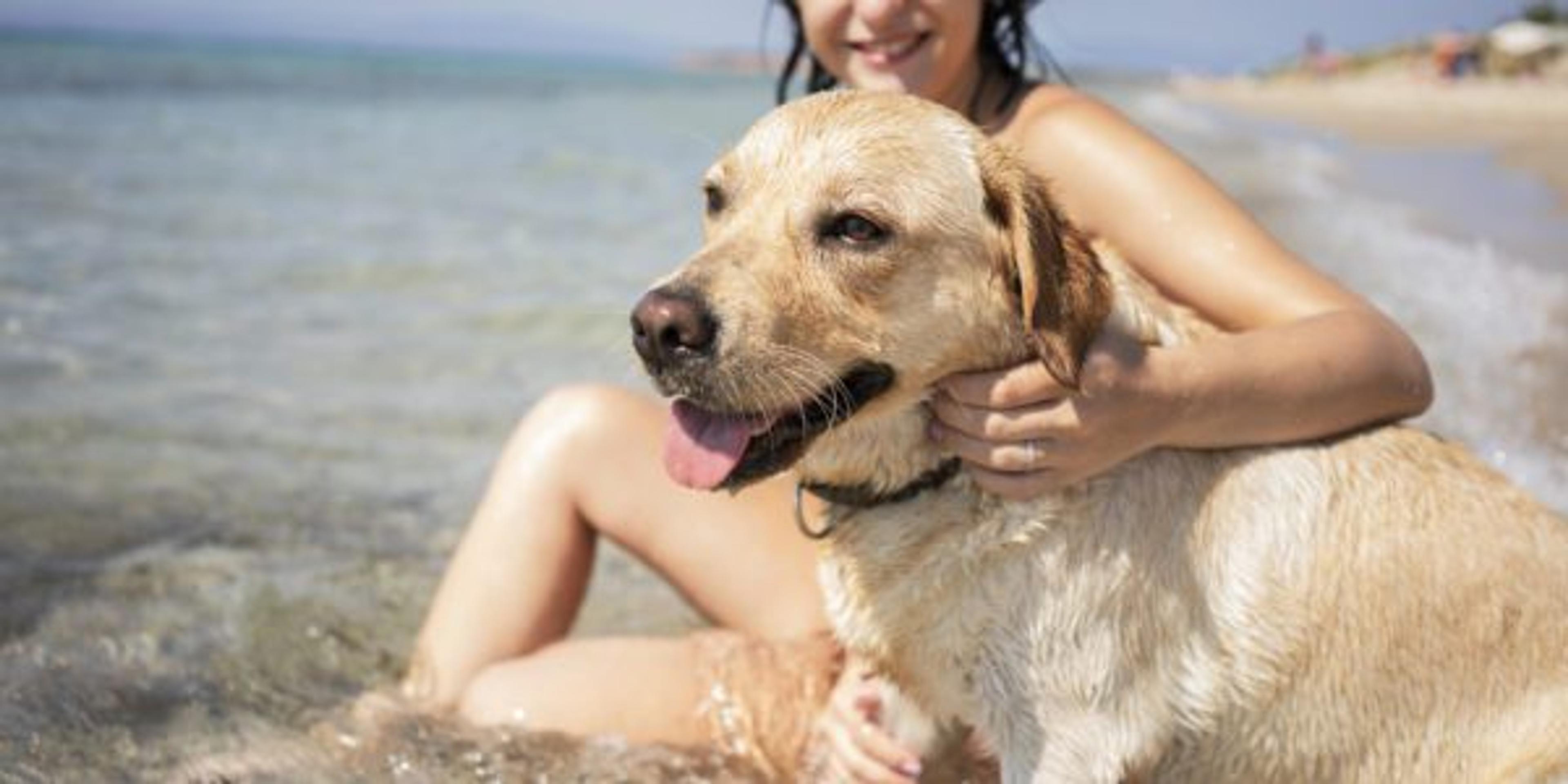 Throughout the summer, beaches on lakes across the state are full of traveling tourists and locals. However, it is important to know that not every beach in Michigan is dog friendly.