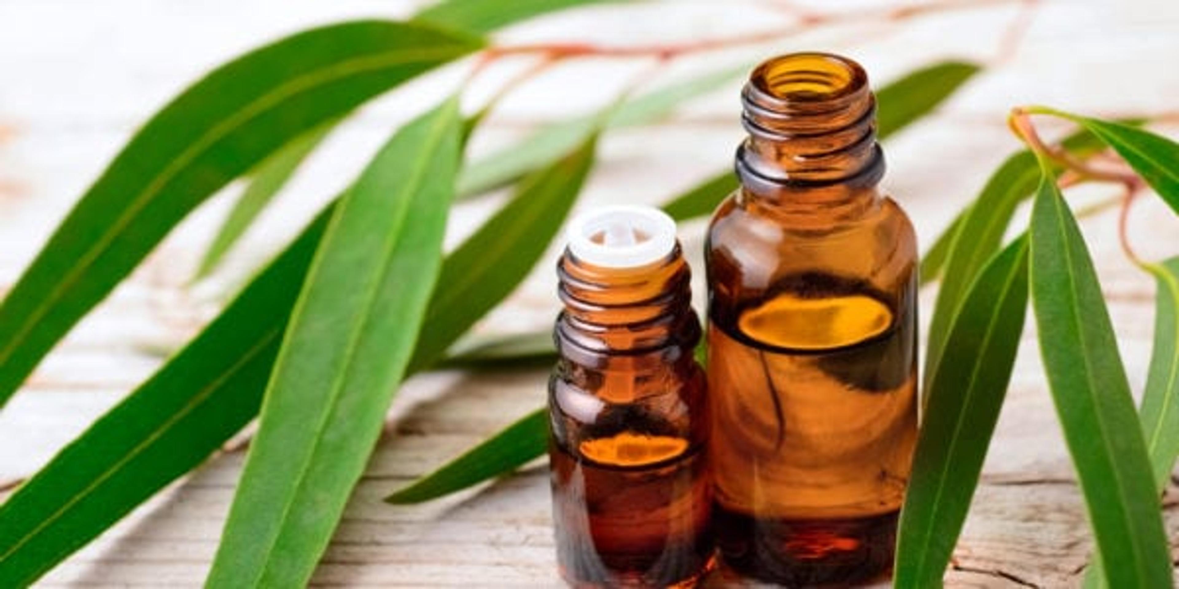 Bottles of eucalyptus oil with fresh leaves in background.