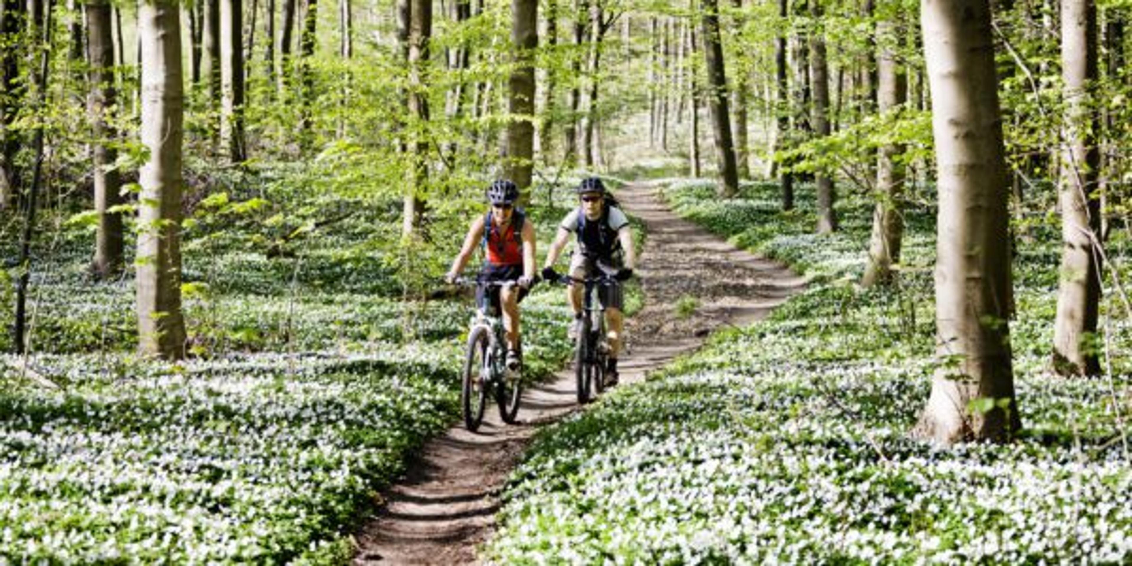 Couple mountain biking together