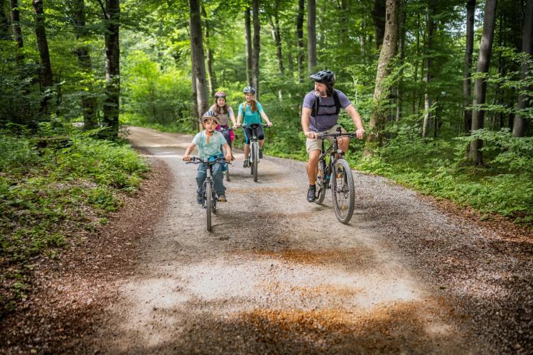 Science-Backed Benefits of Spending Time in Nature