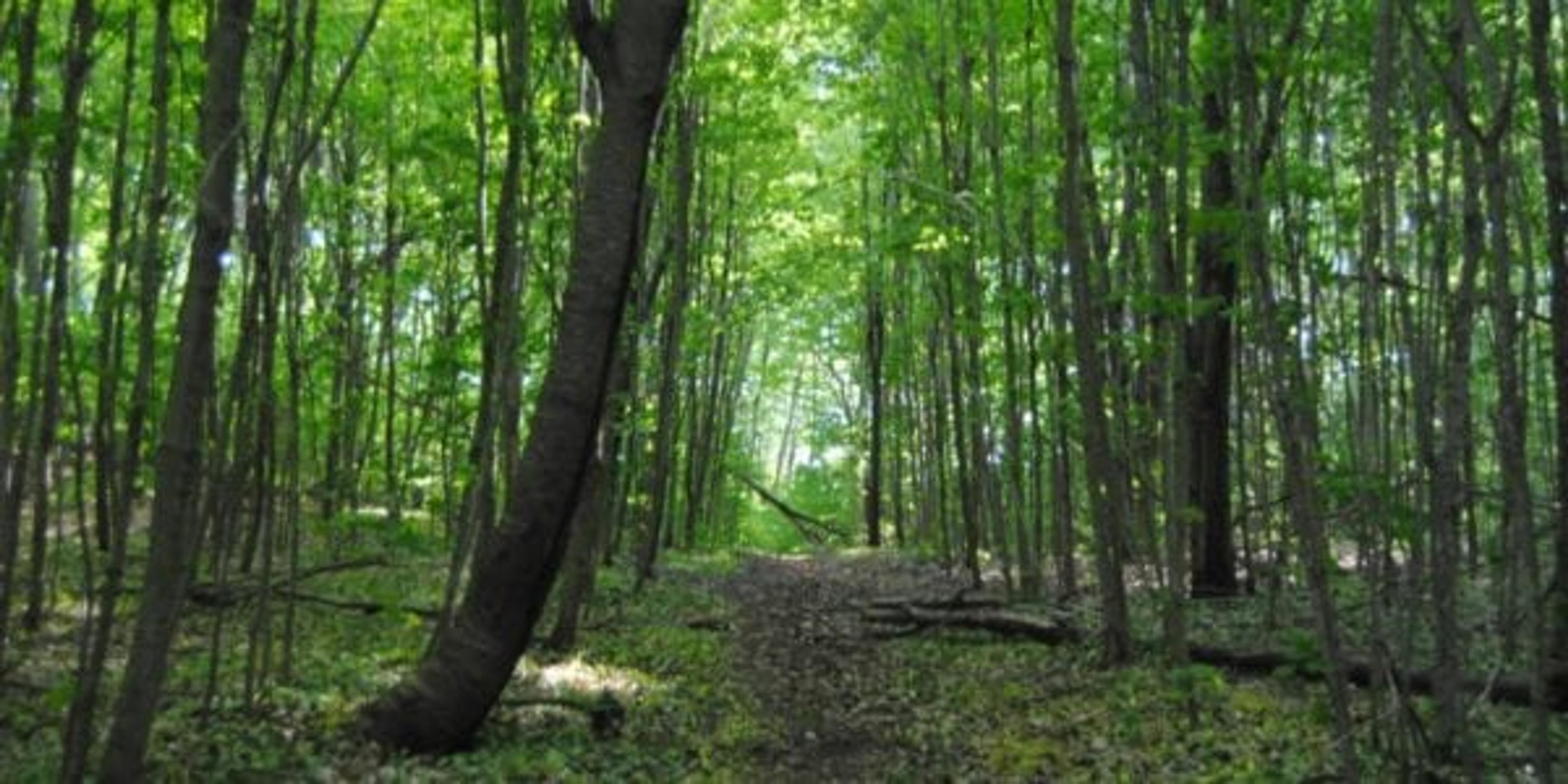 Manitou Island