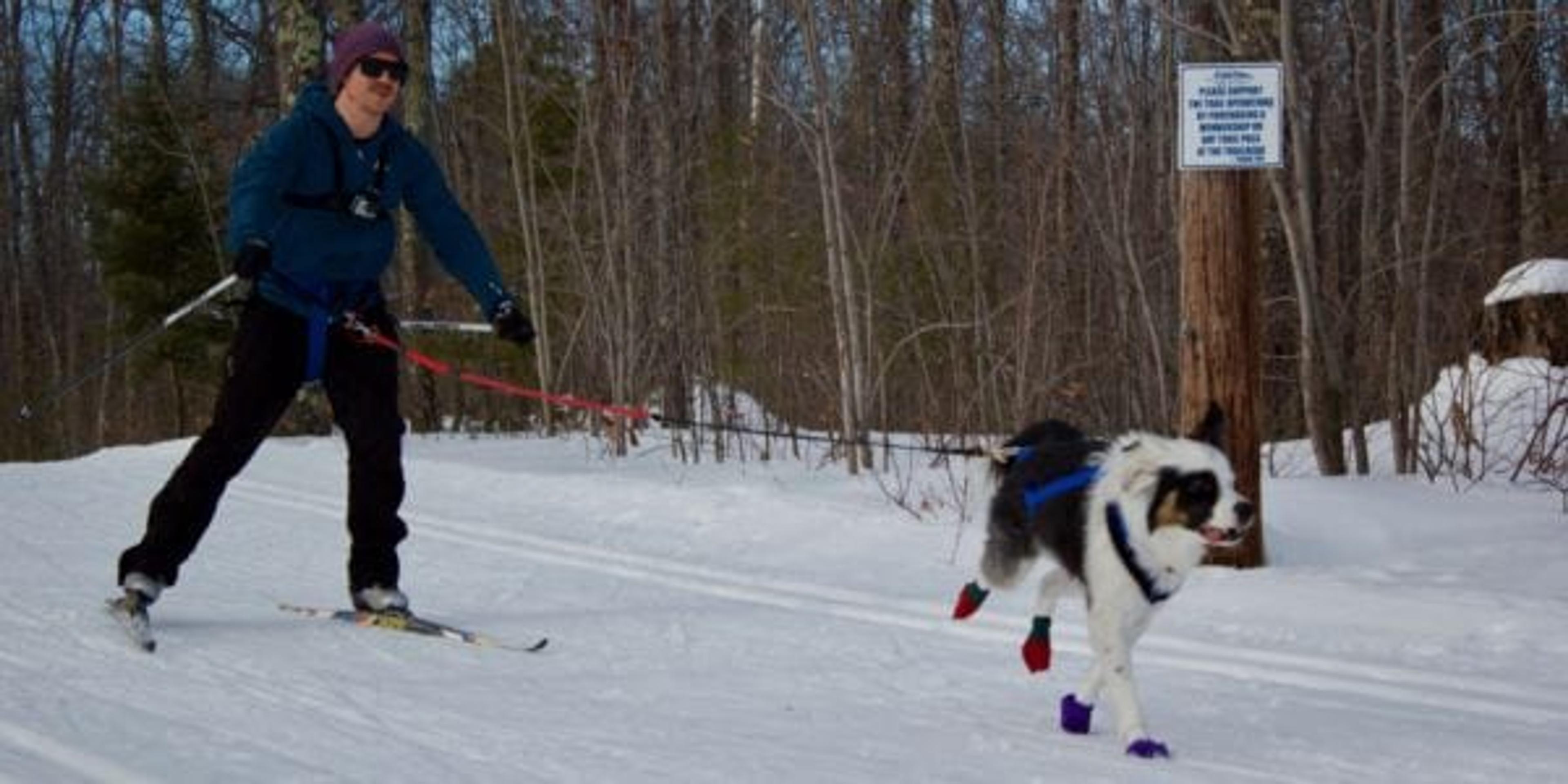 Man being pulled on skis by dog on snow